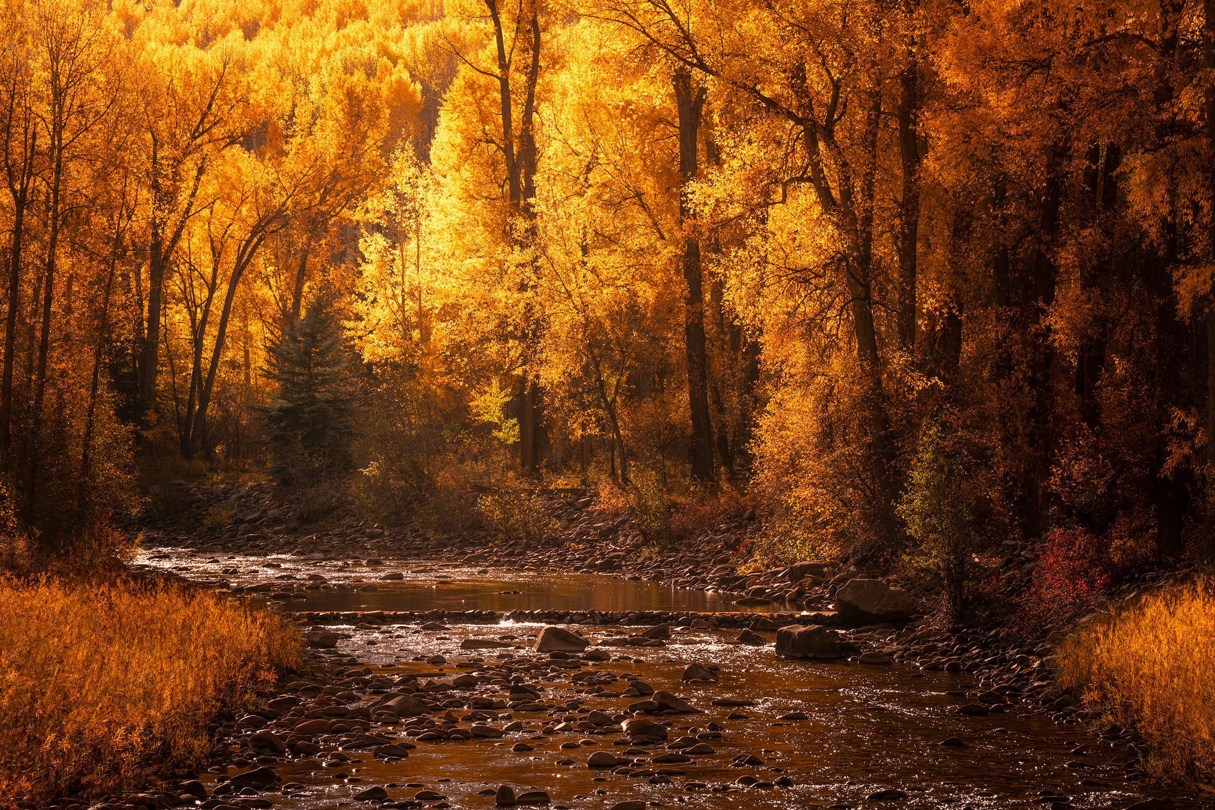 A Path Across