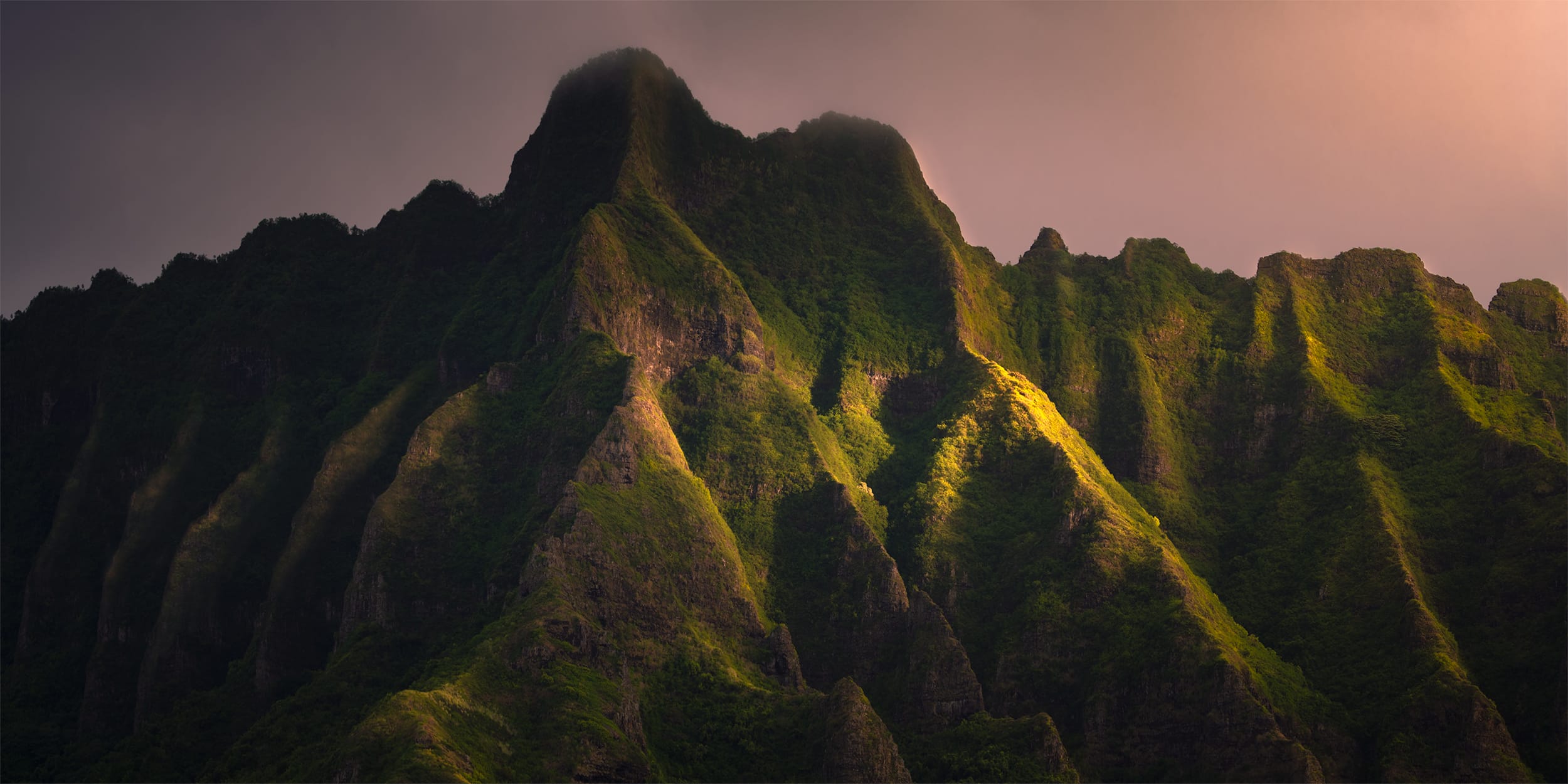 Ancient Light