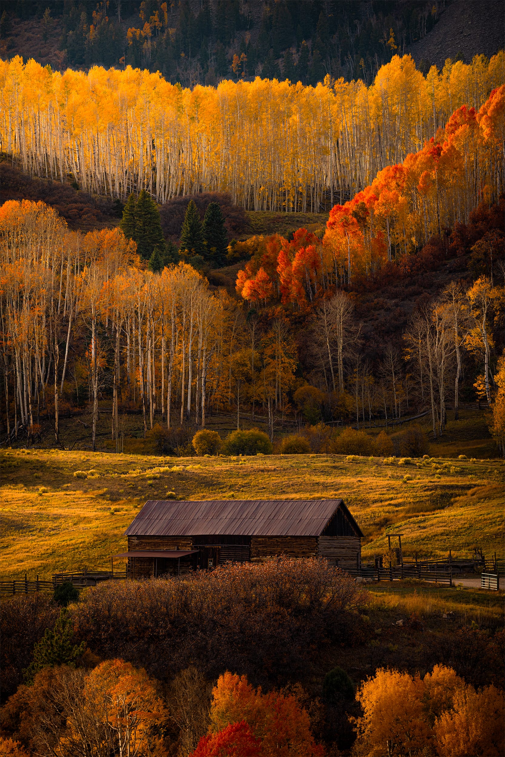 Autumn Hideaway