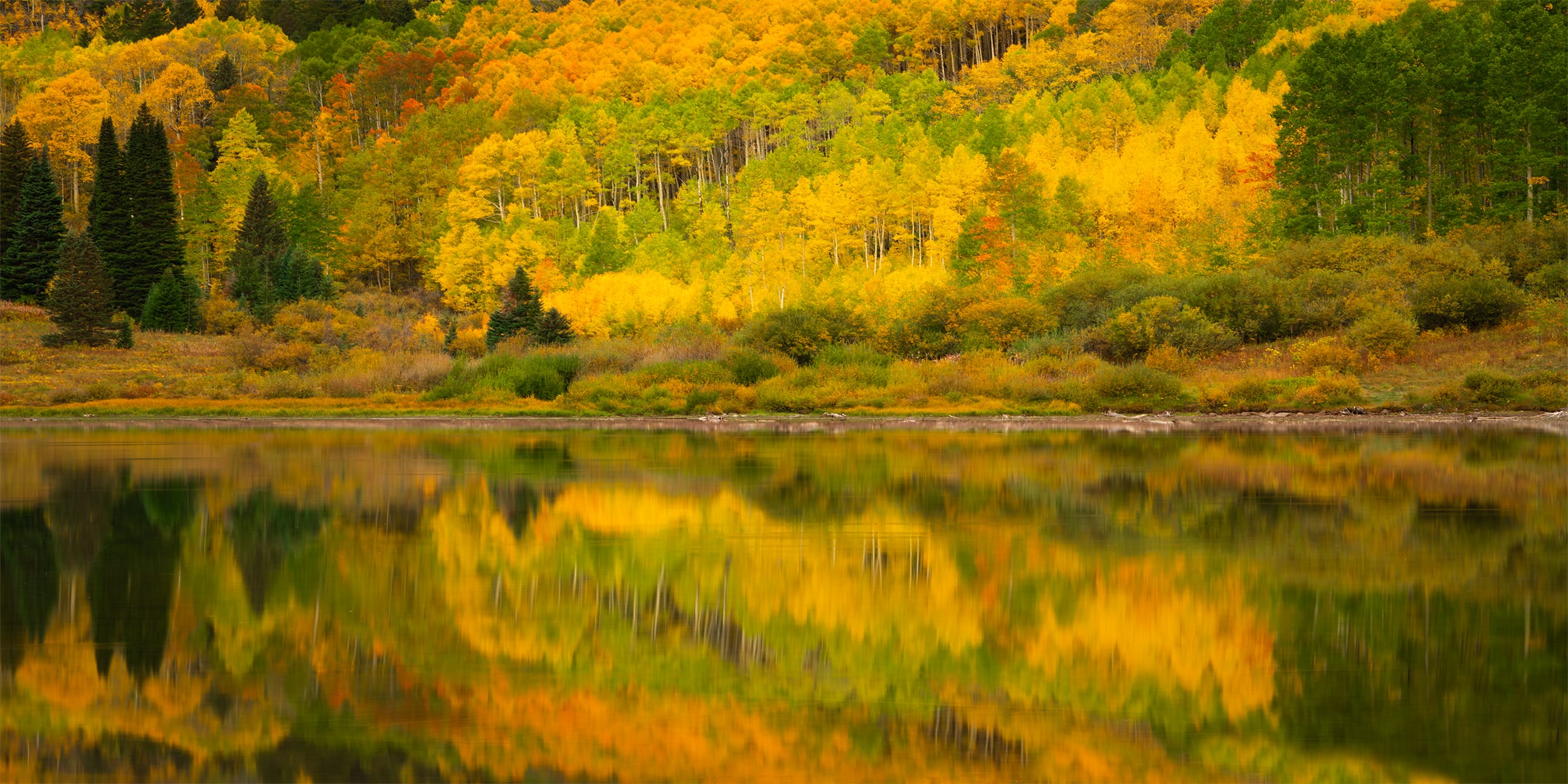 Autumn Serenade