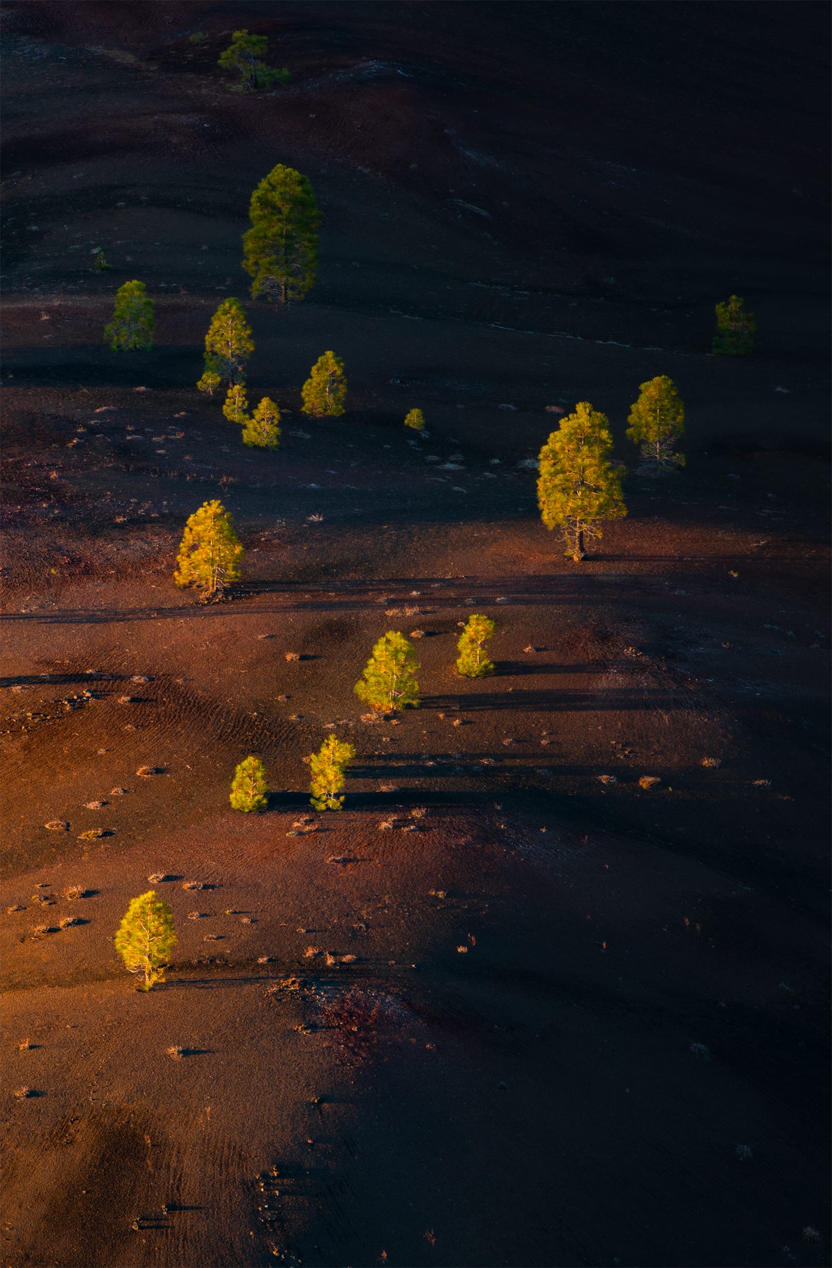 Dawn on Me