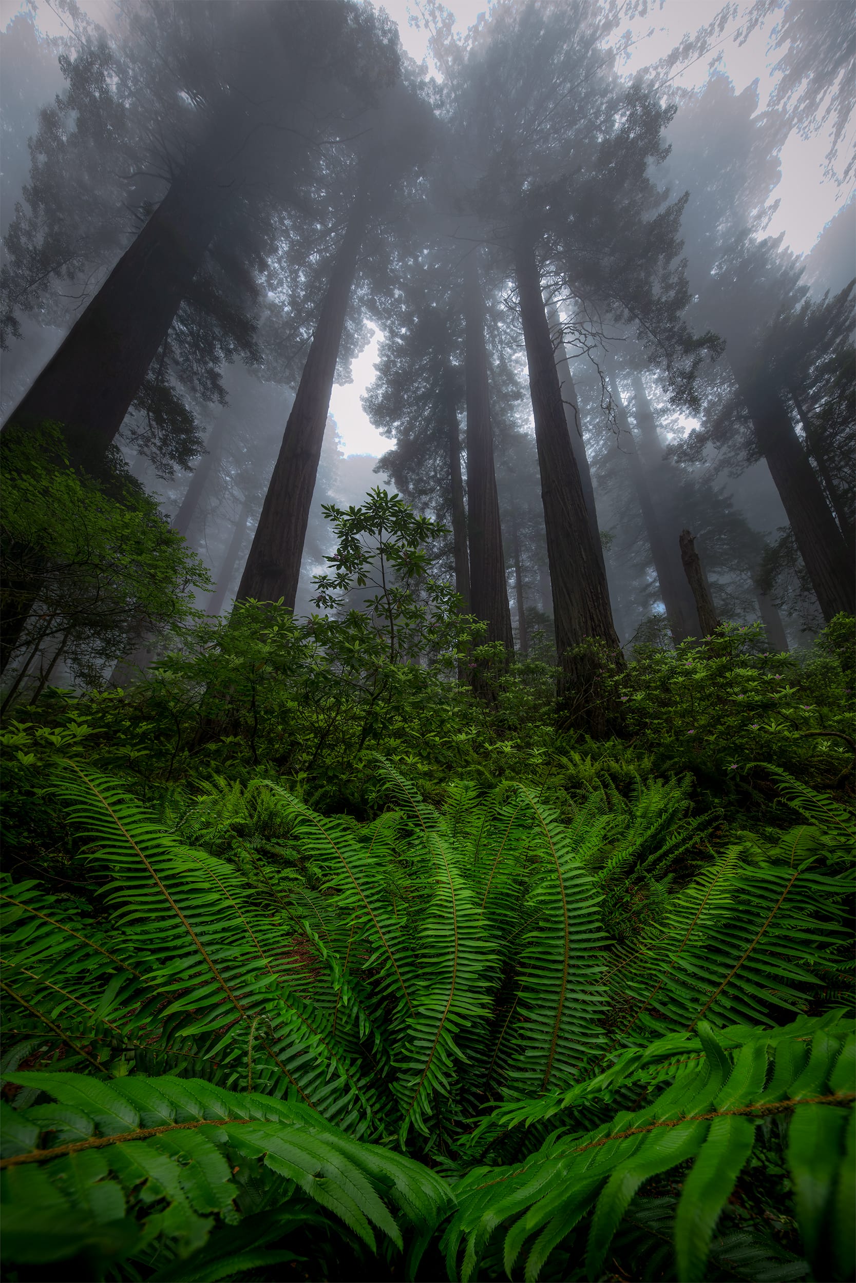 Deep Within
