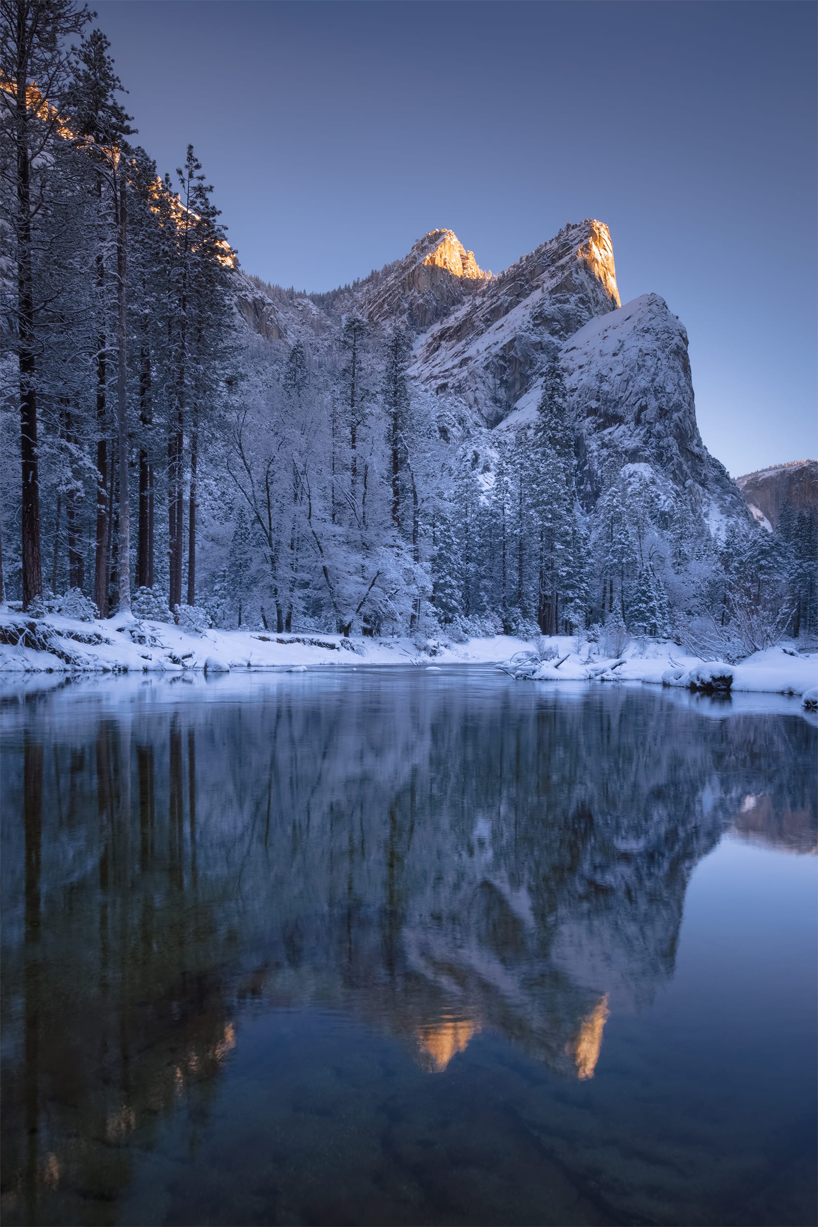 Enchanted Reflections