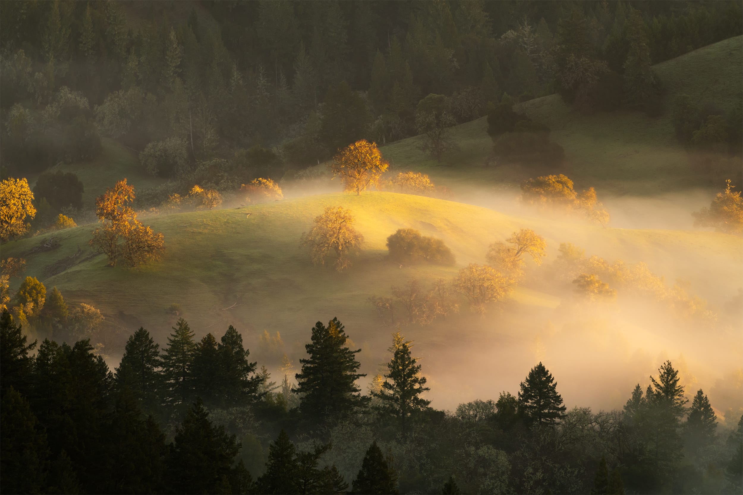 Ethereal Glow