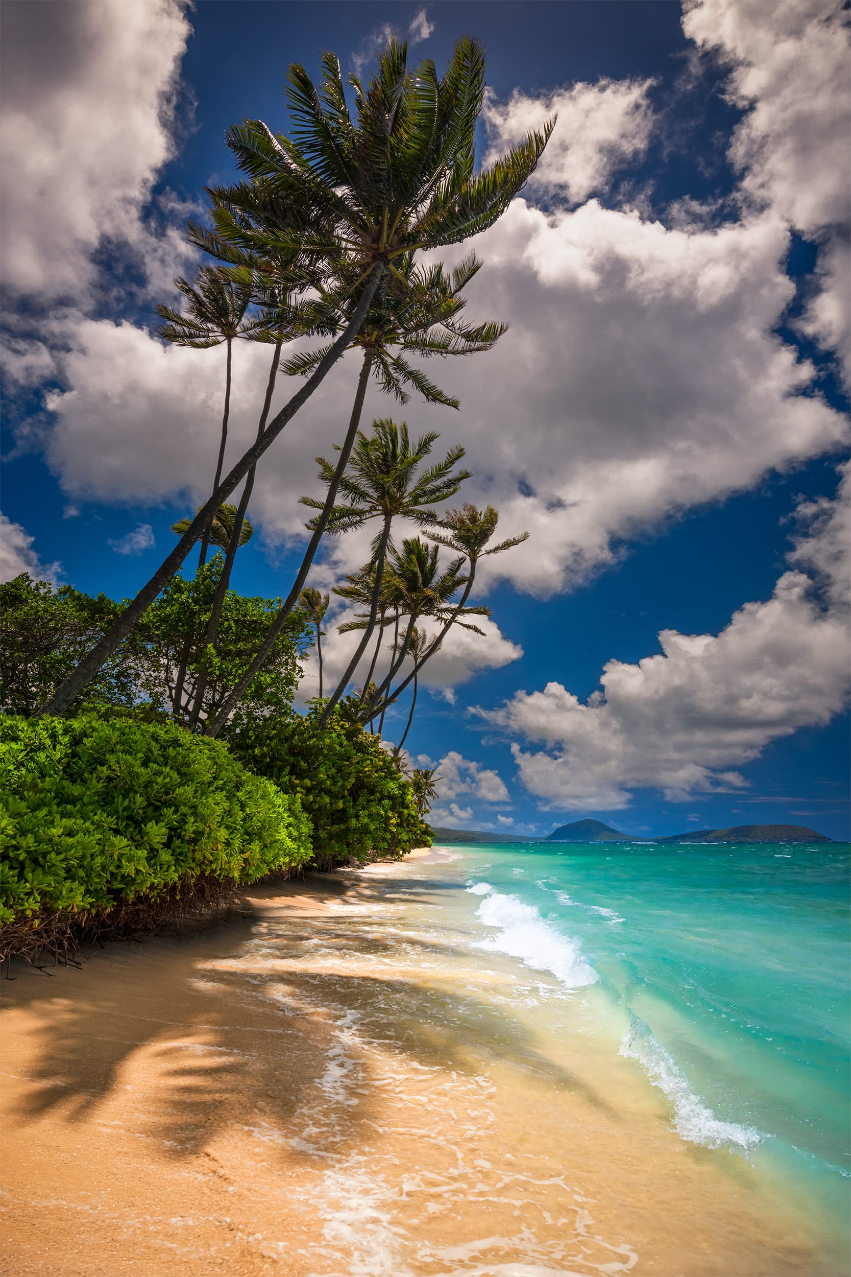 HAWAIIAN BREEZE | Seascapes & Waterfalls | Marlon Holden Fine Art