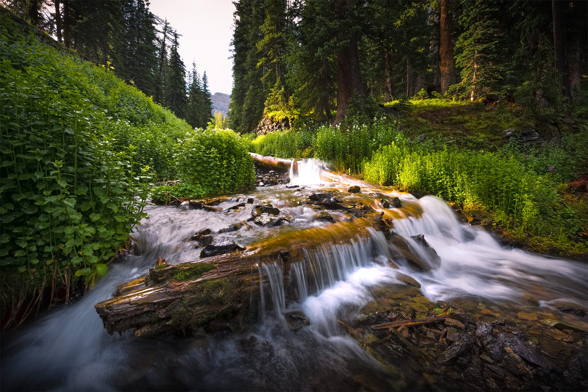 Headwaters