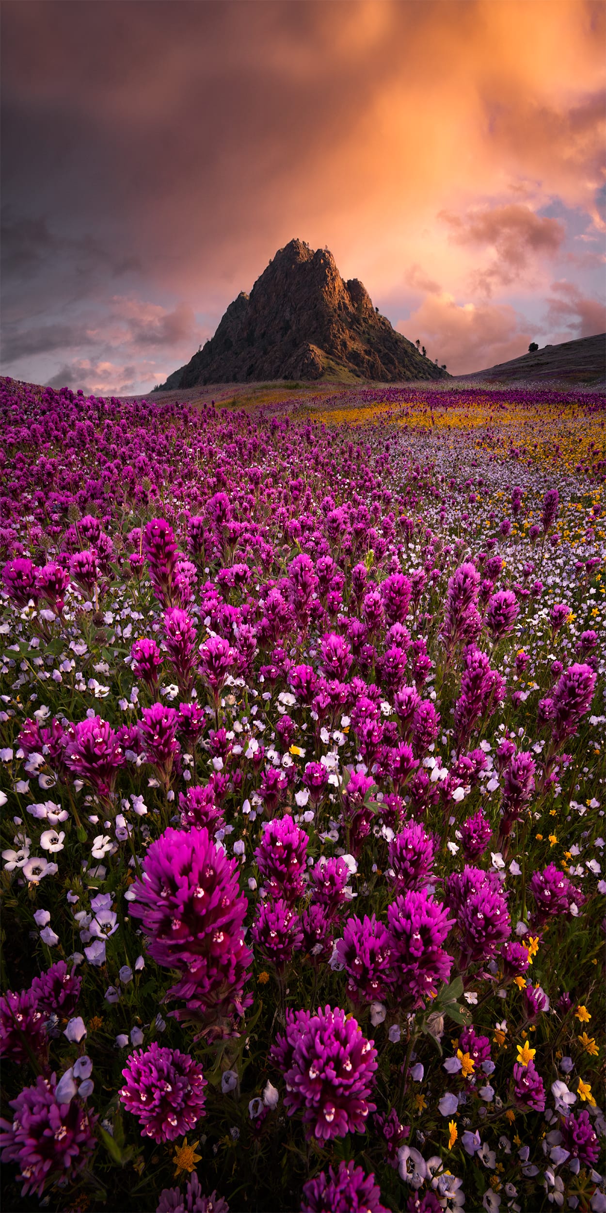 Hidden Mountain