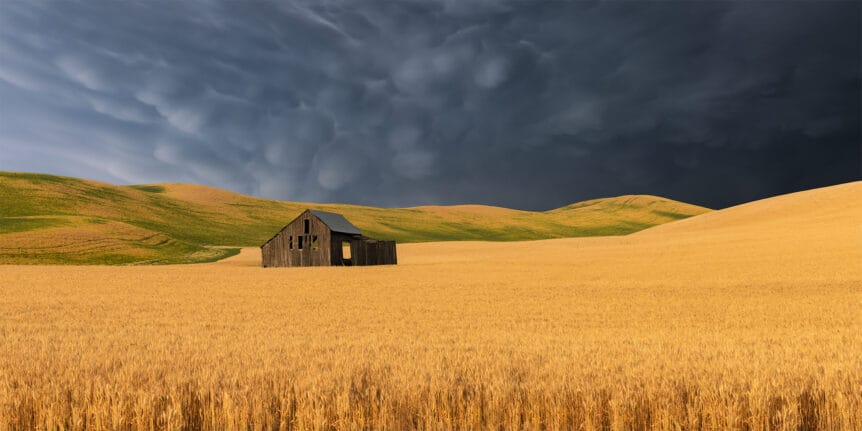 Homestead