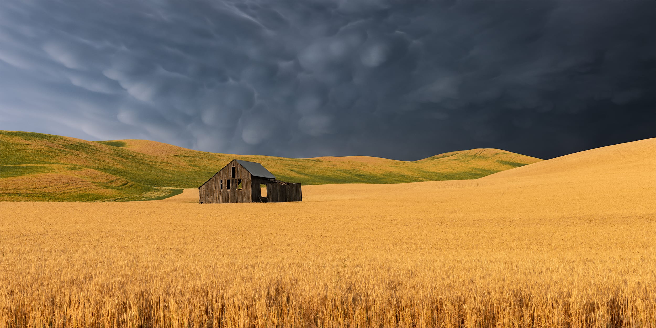 Homestead