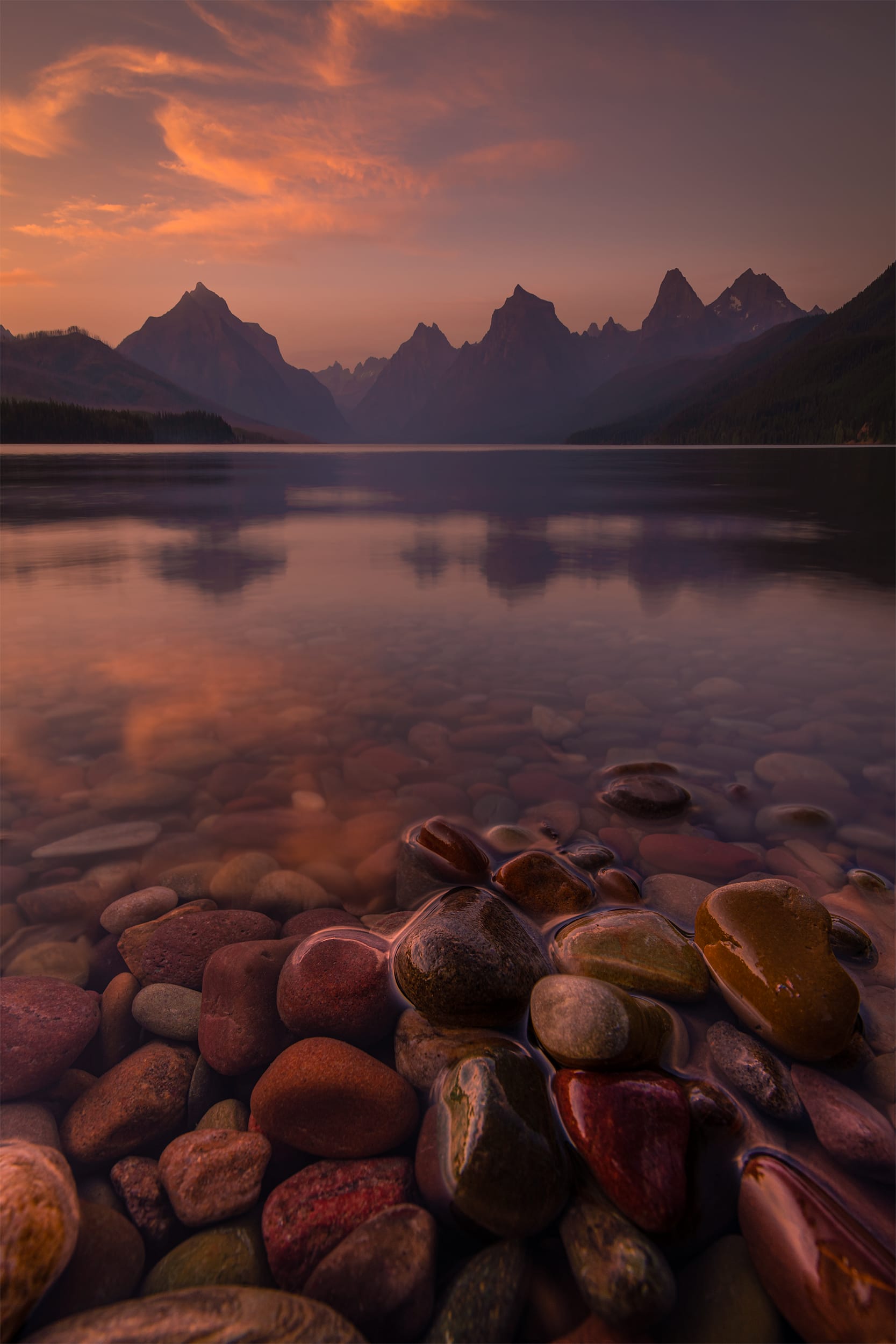 McDonald Reflections