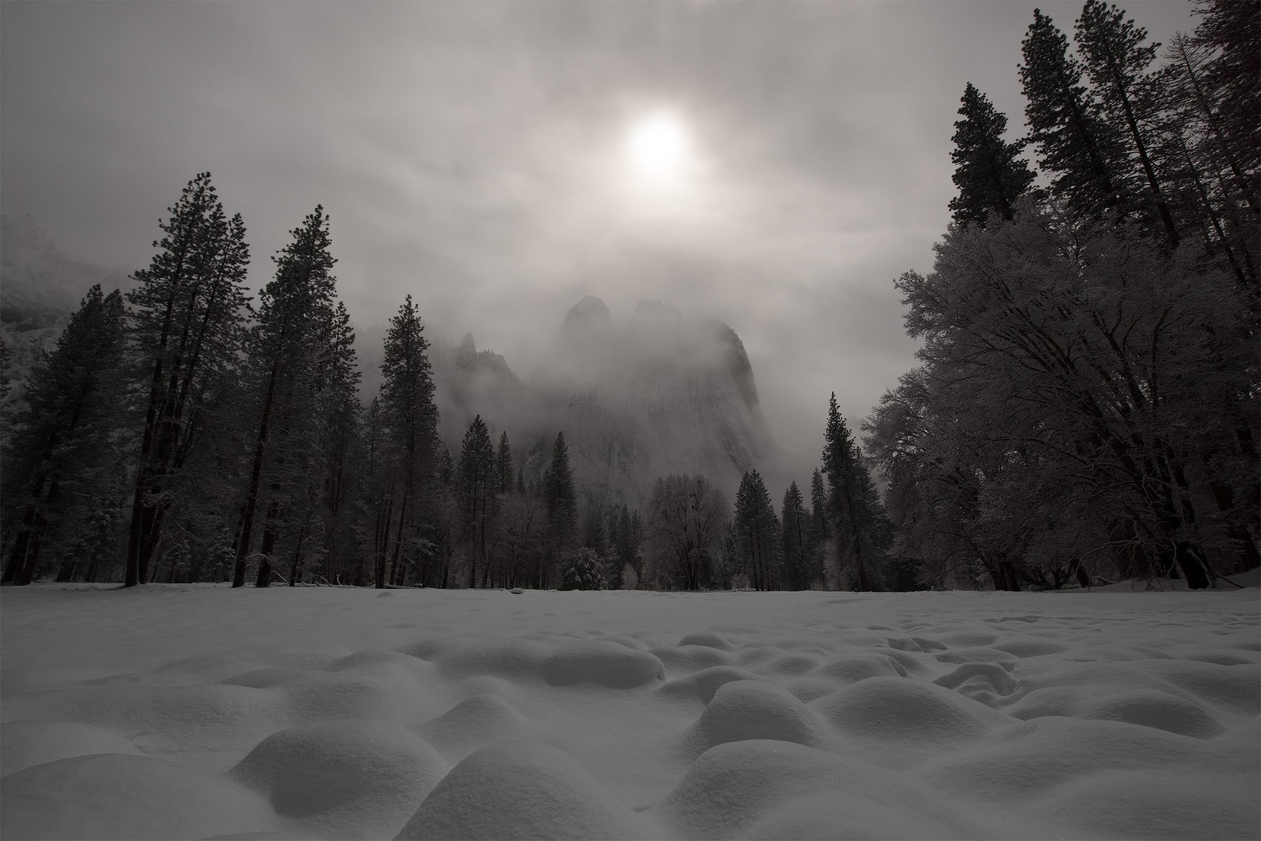 Moonshadow