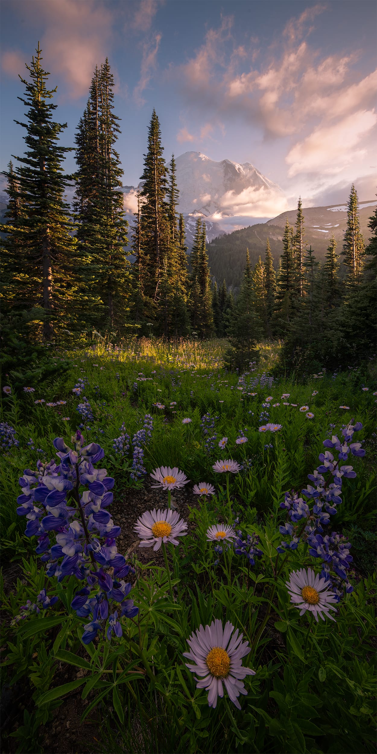 Mountain Splendor