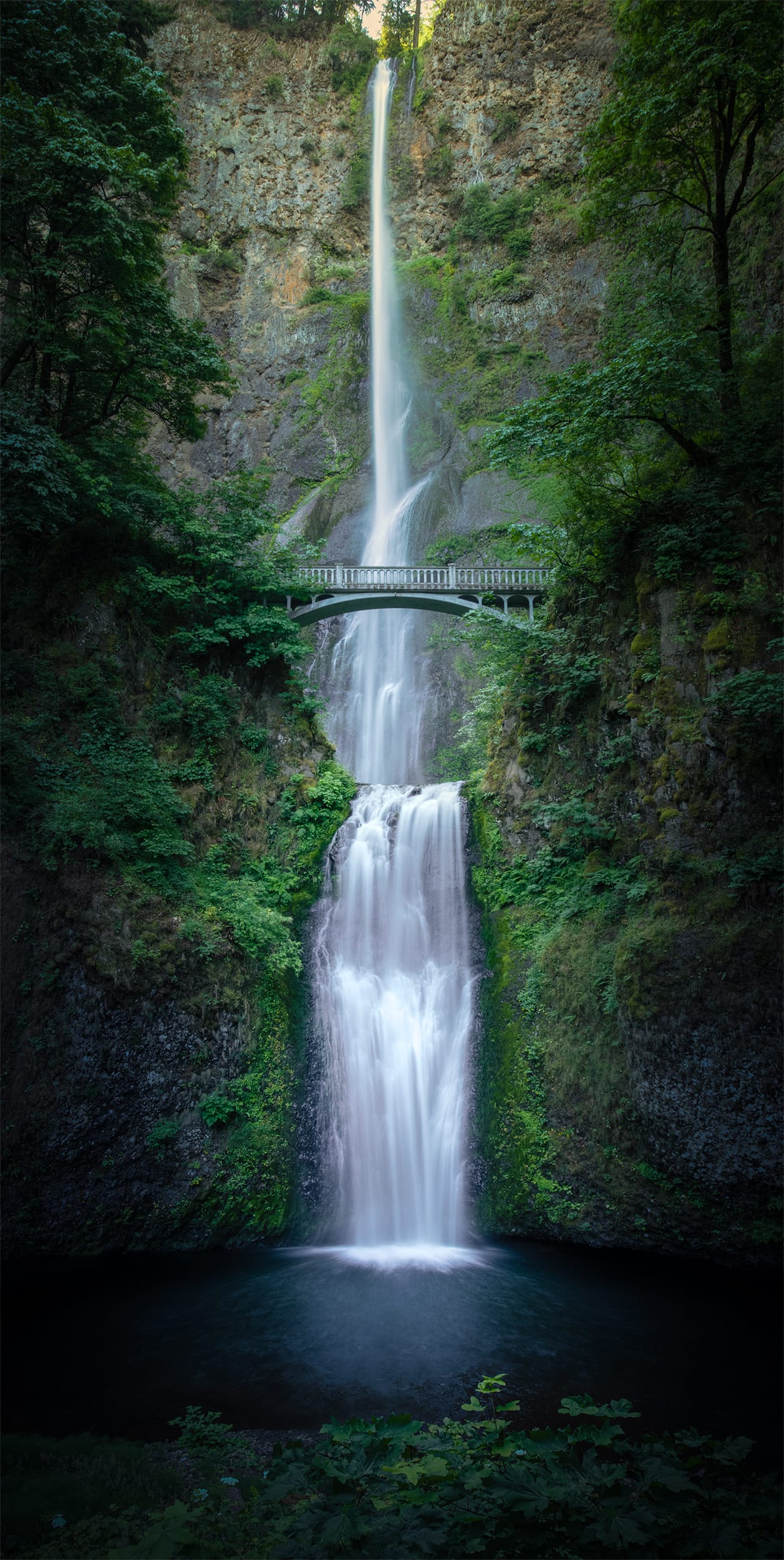Multnomah