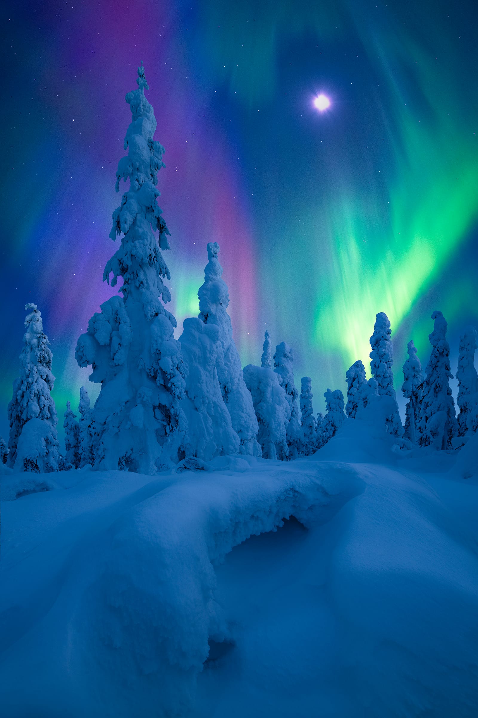 Northern Light