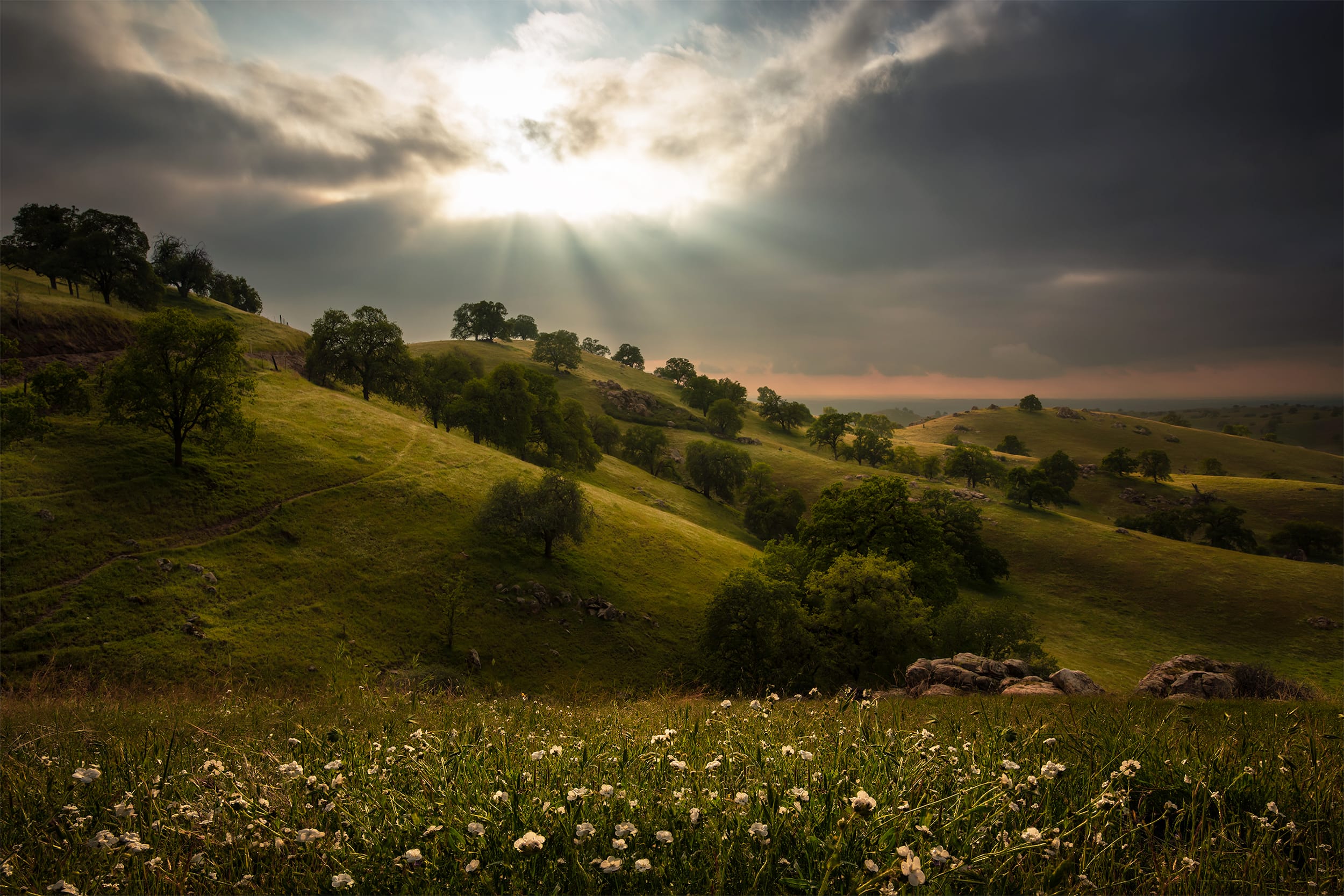 Oak Hills