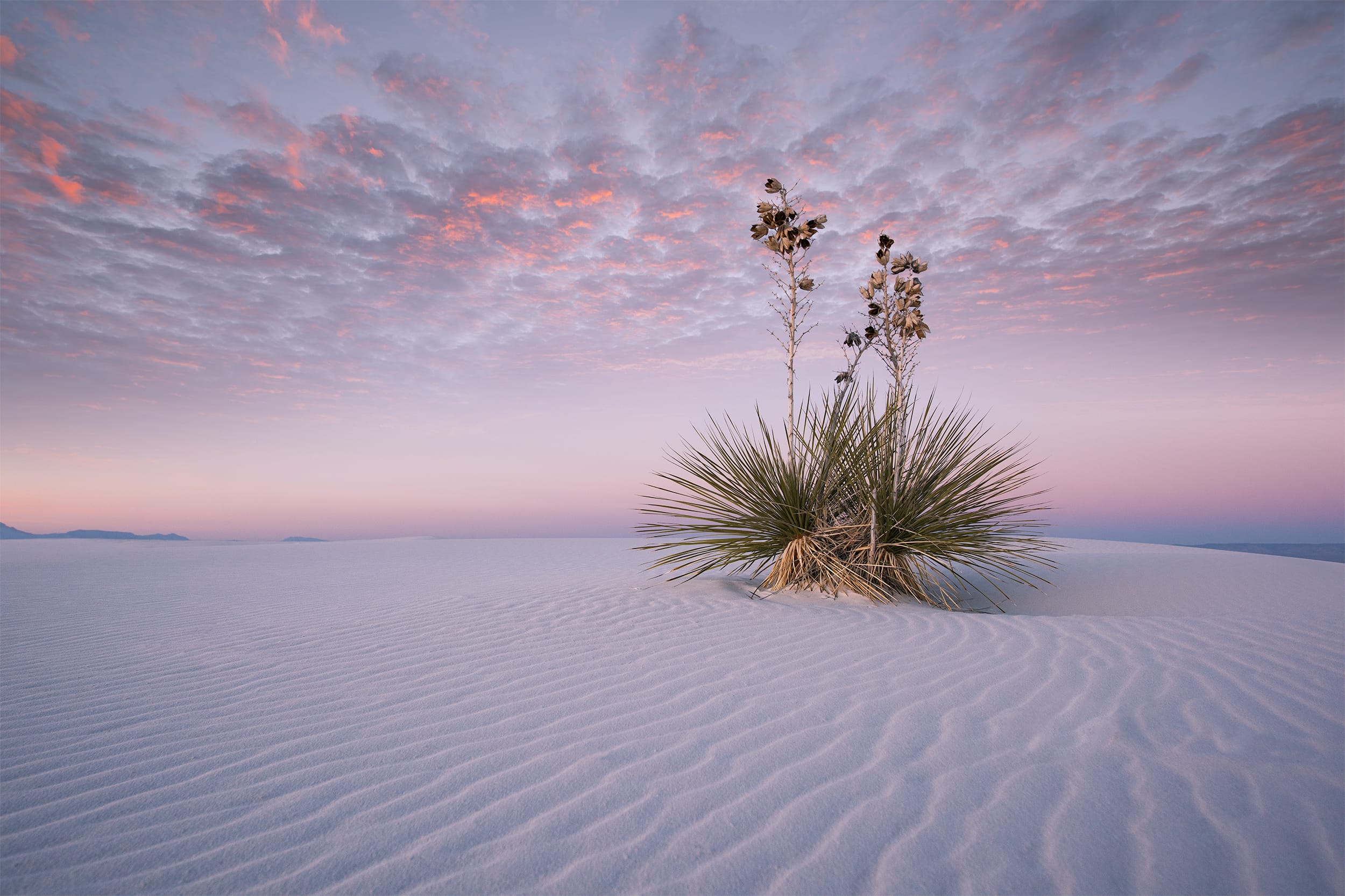 Silent Dawn
