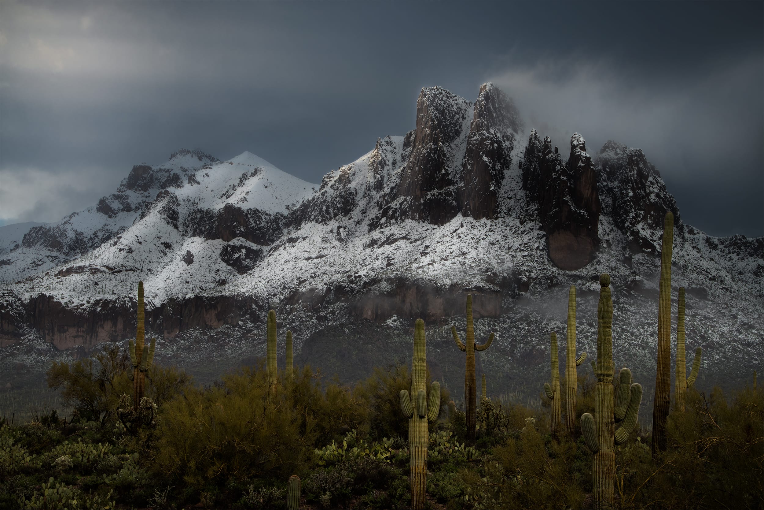 Lightbox: Sonoran Snow