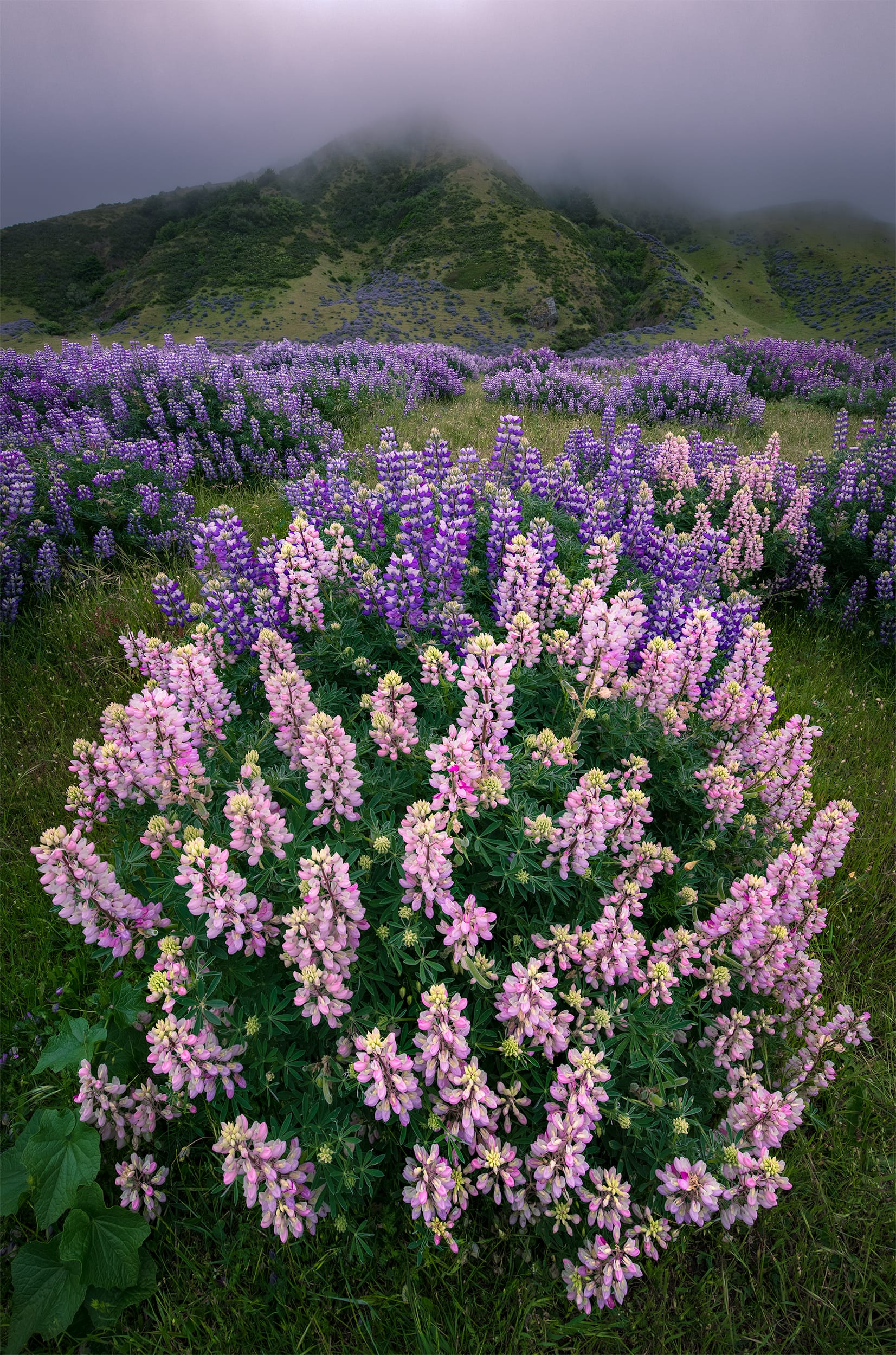 Standing Out