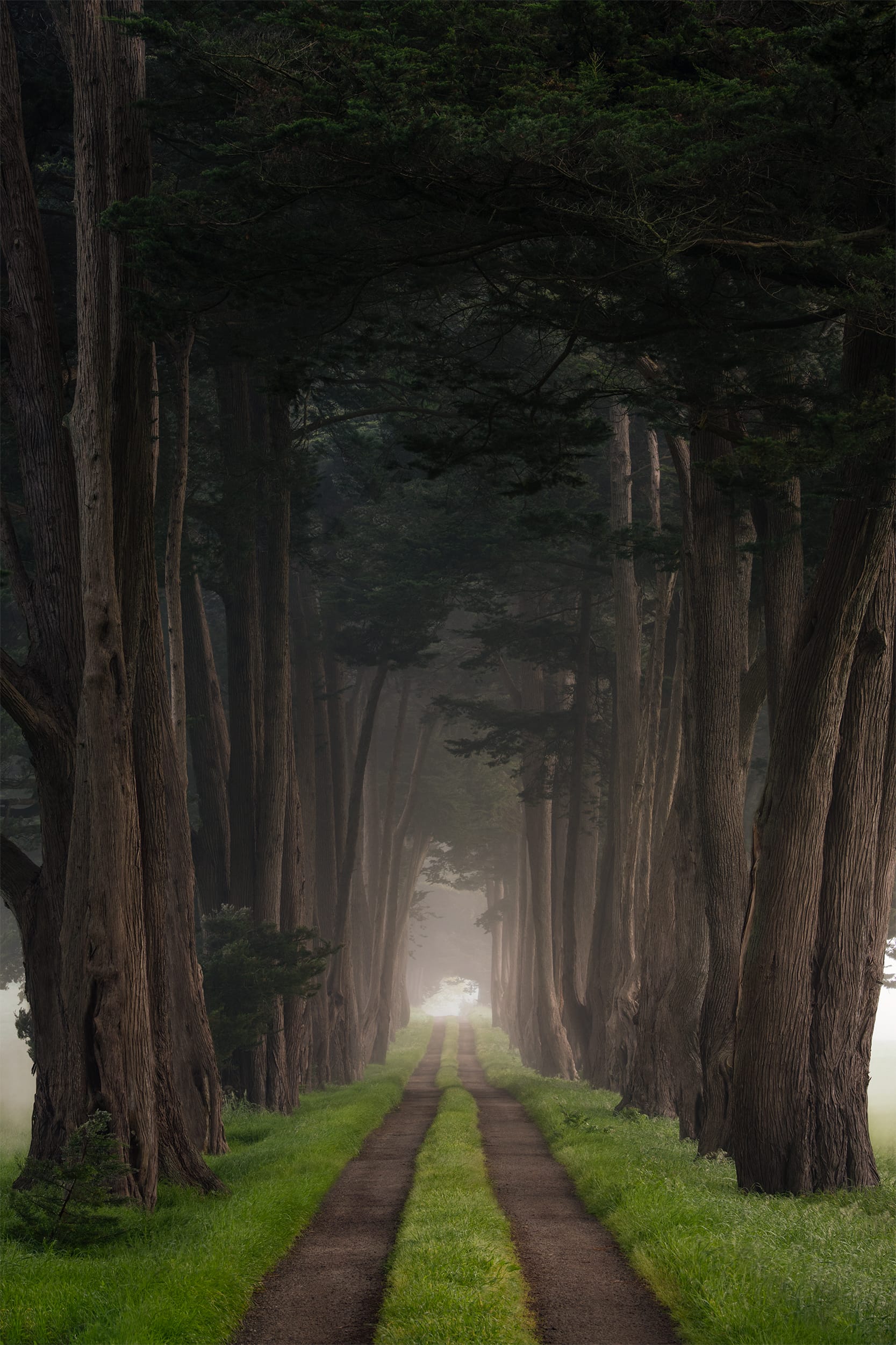 Walk With Me