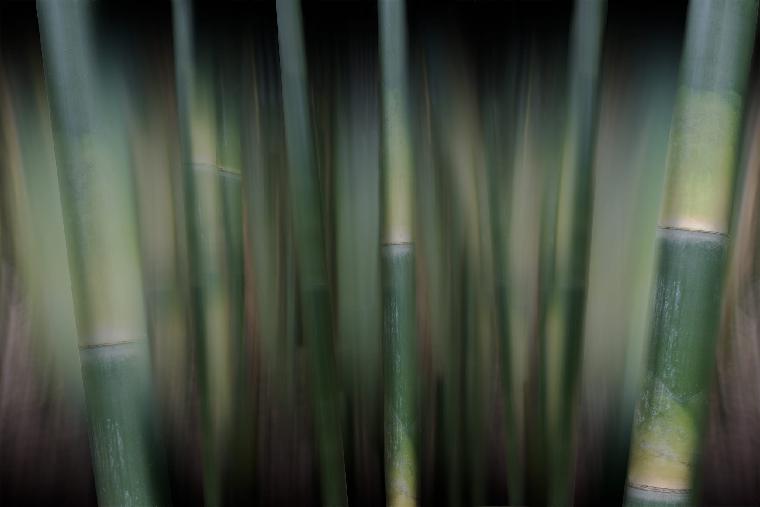 Within Us
