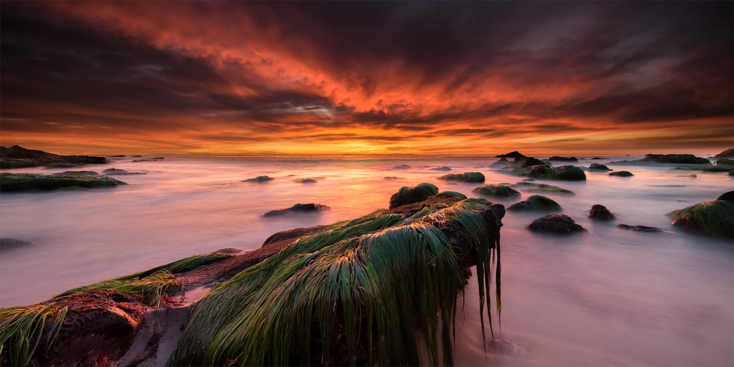 Last Light