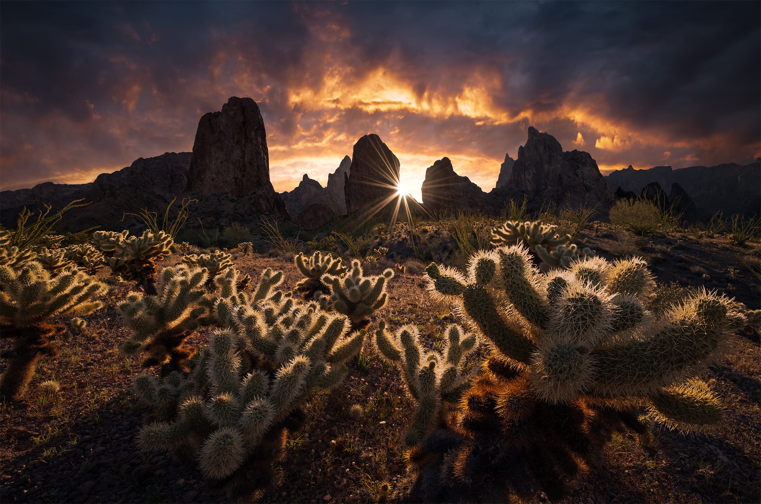 Enchanted Dawn