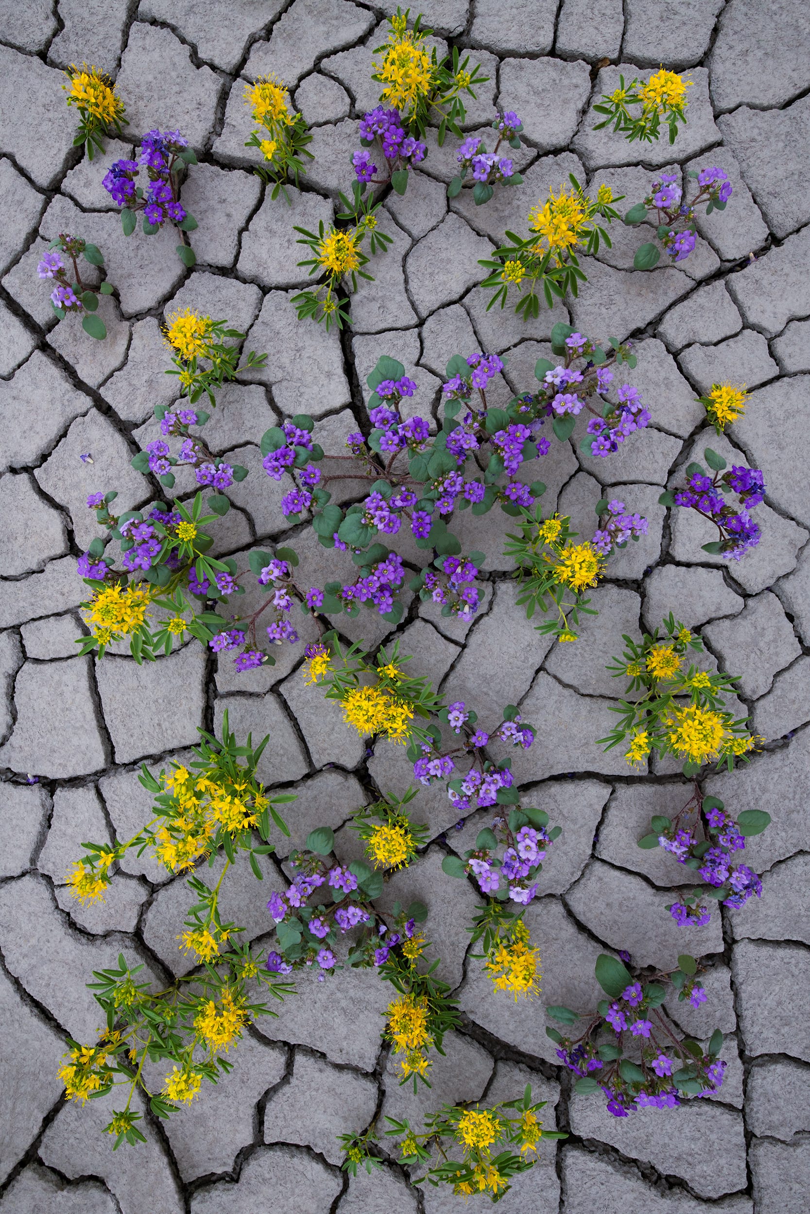 Resilience