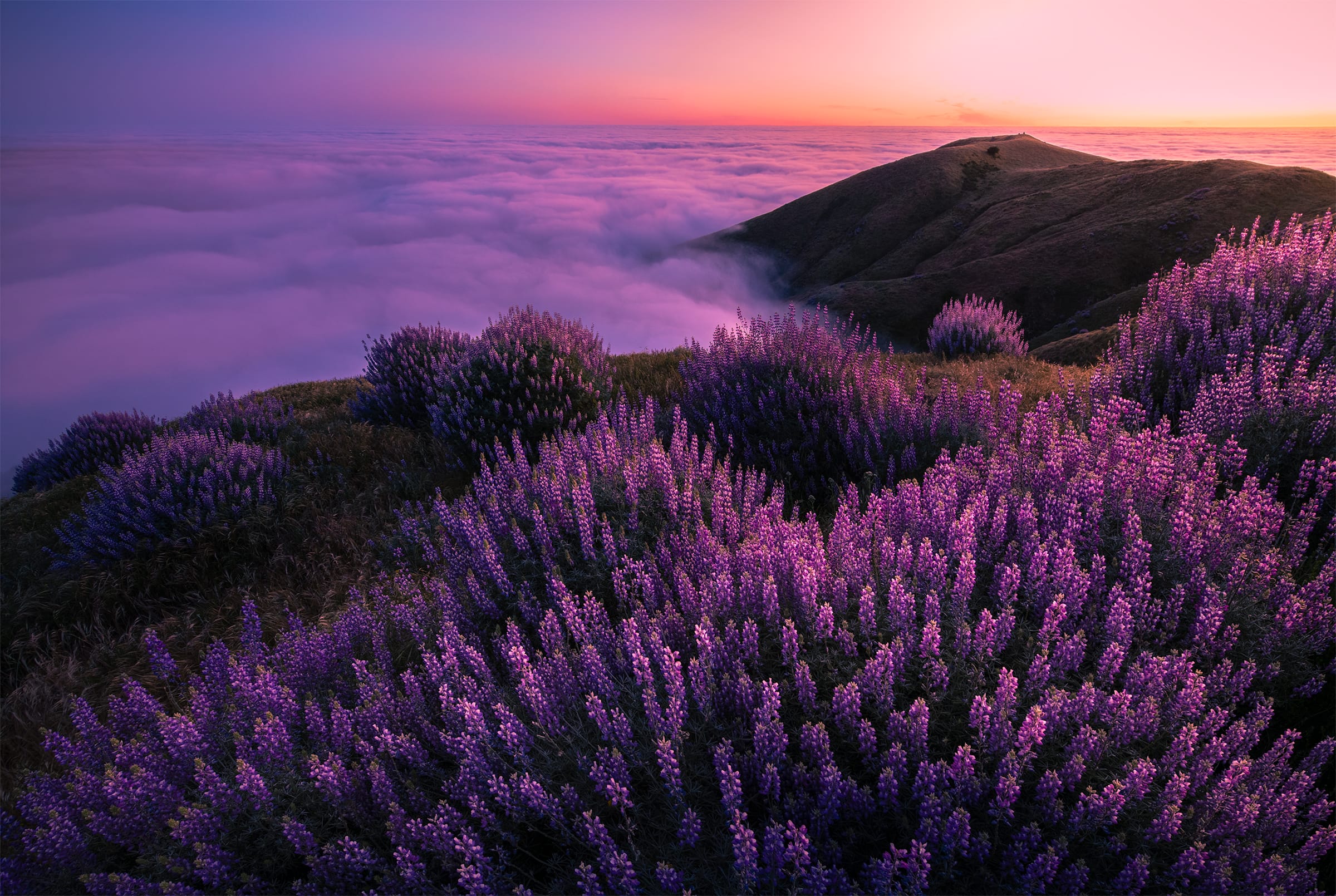 Evening in the Sky
