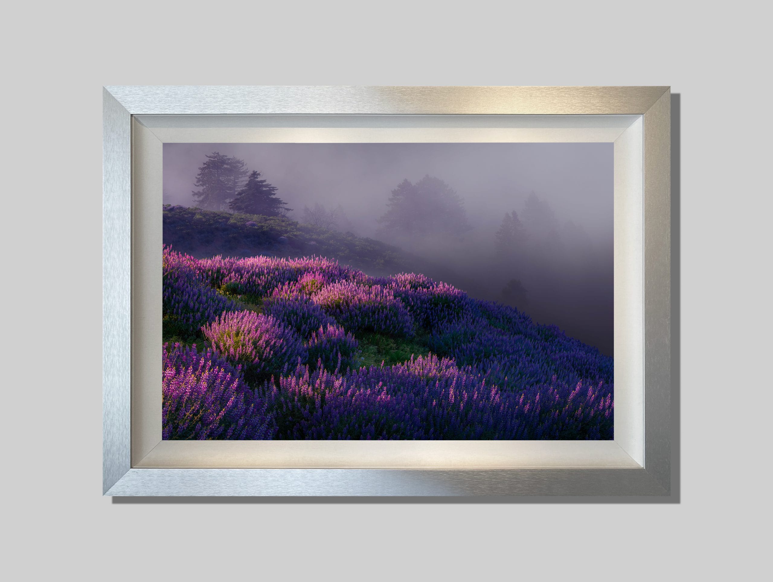 A Distant Dream - Image 3