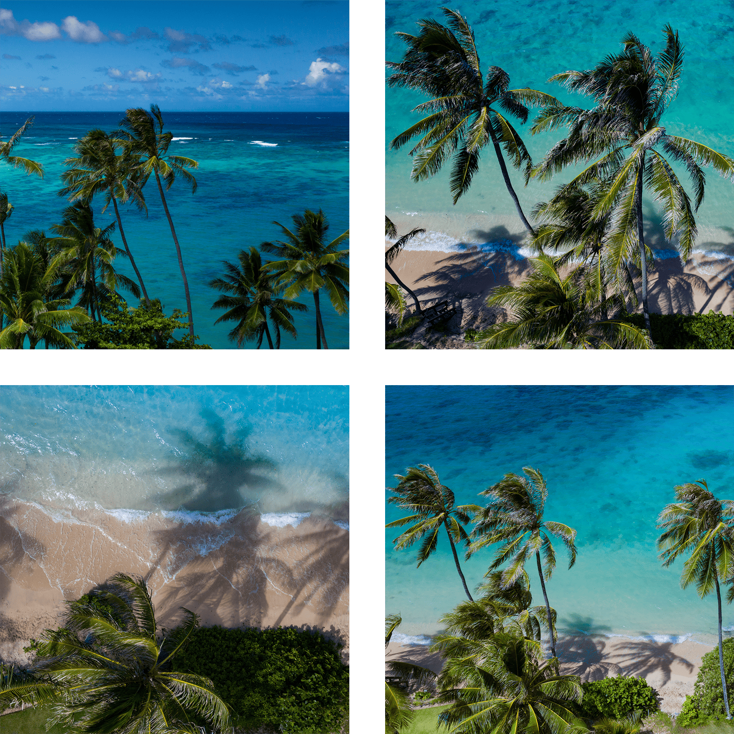 Coconut Breeze