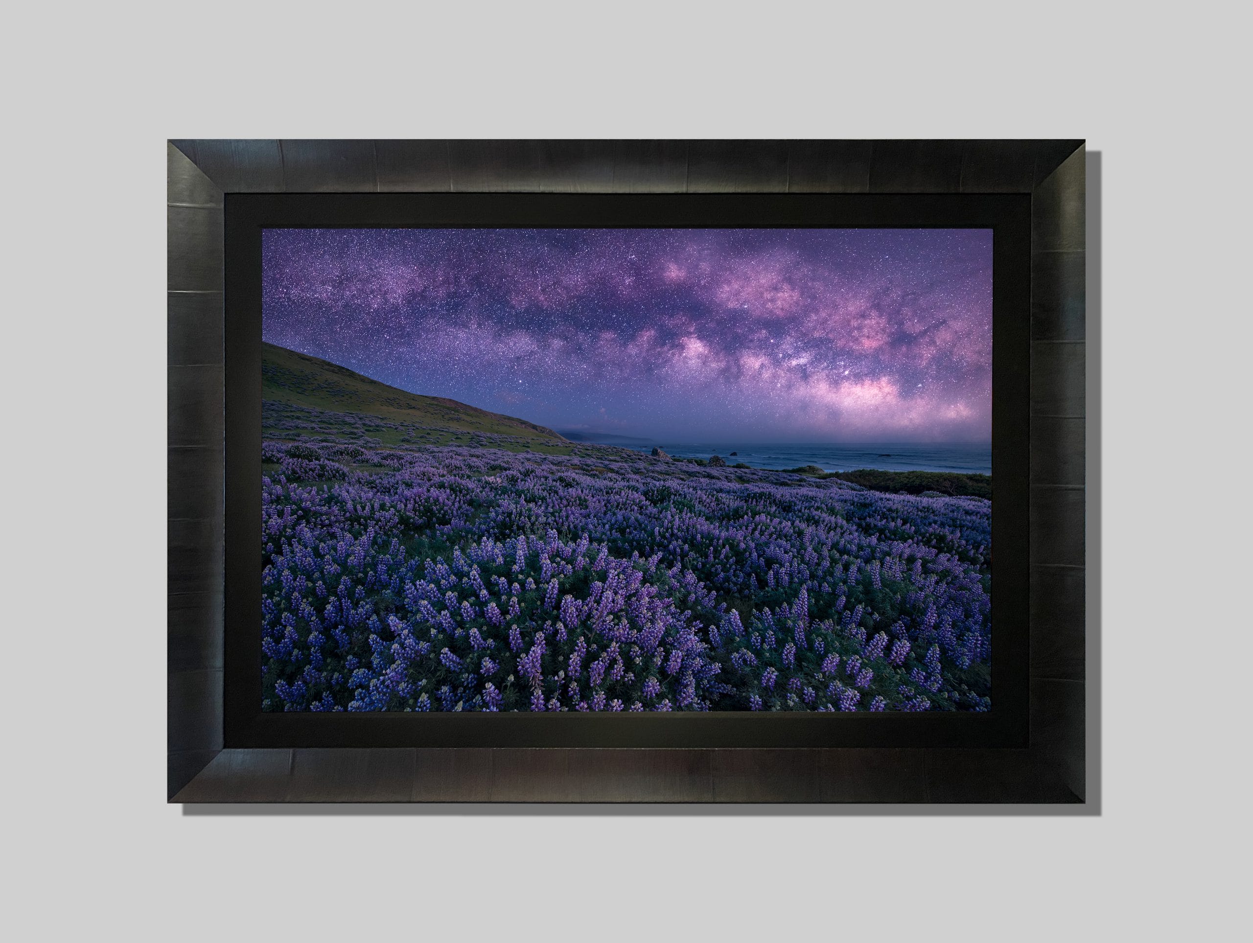 Midnight Bloom - Image 2