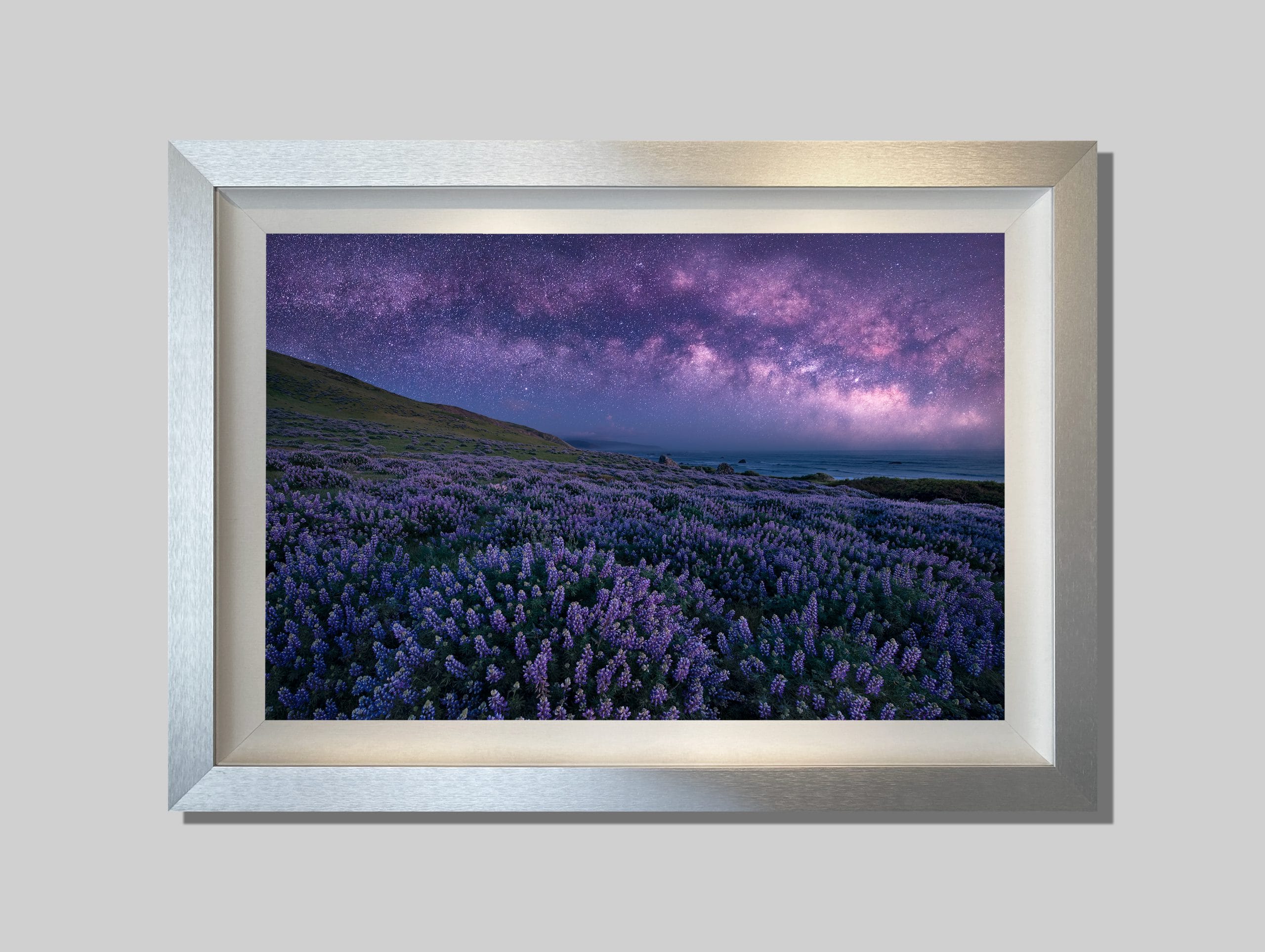 Midnight Bloom - Image 3