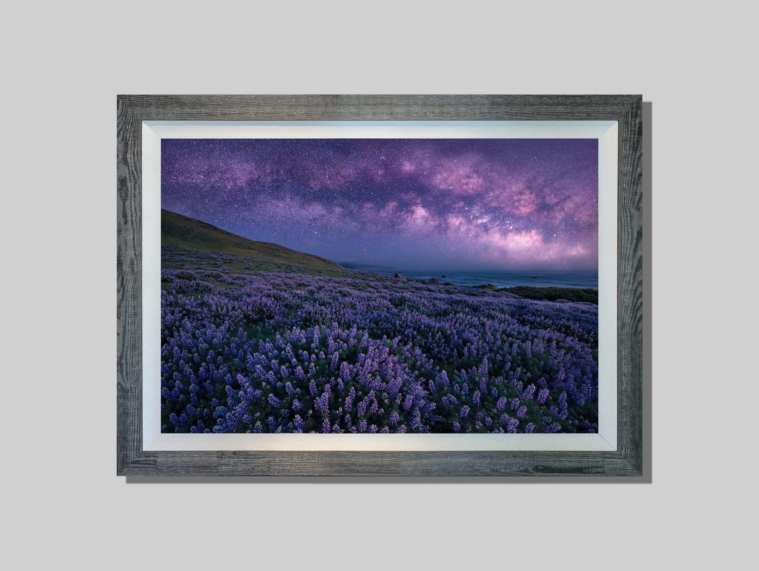 Midnight Bloom - Image 4