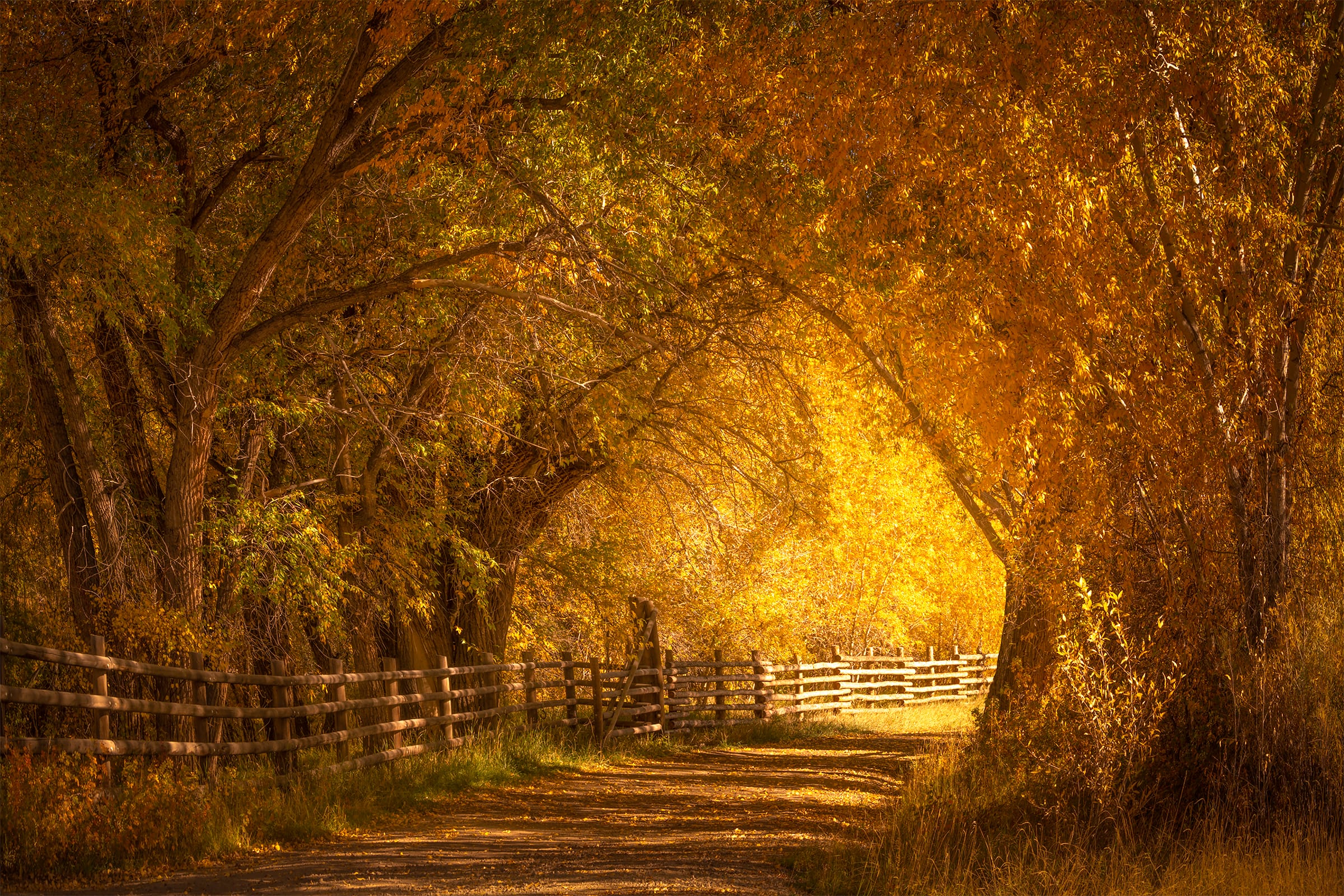 Old Ranch Road