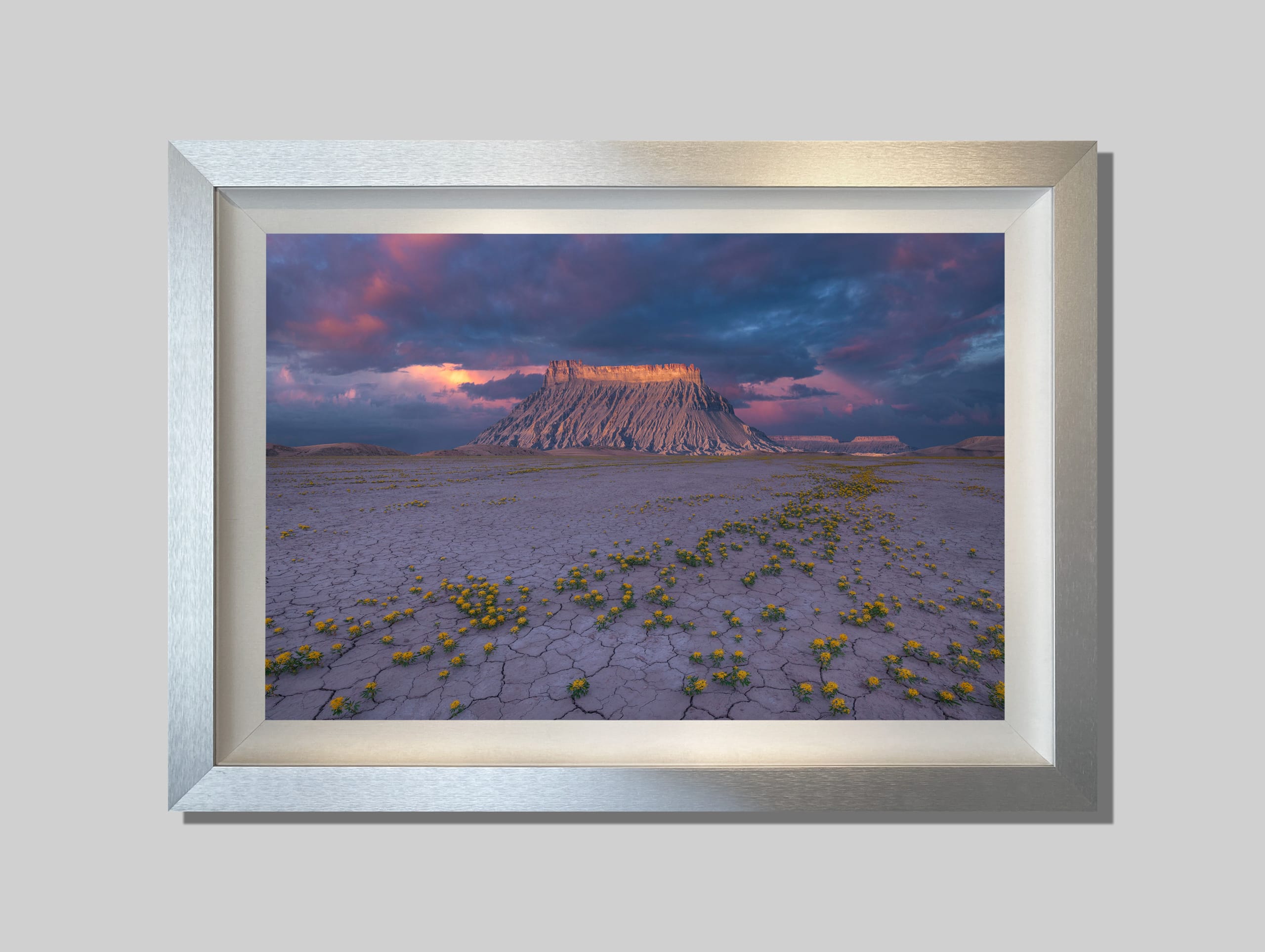 Desert Bloom - Image 3