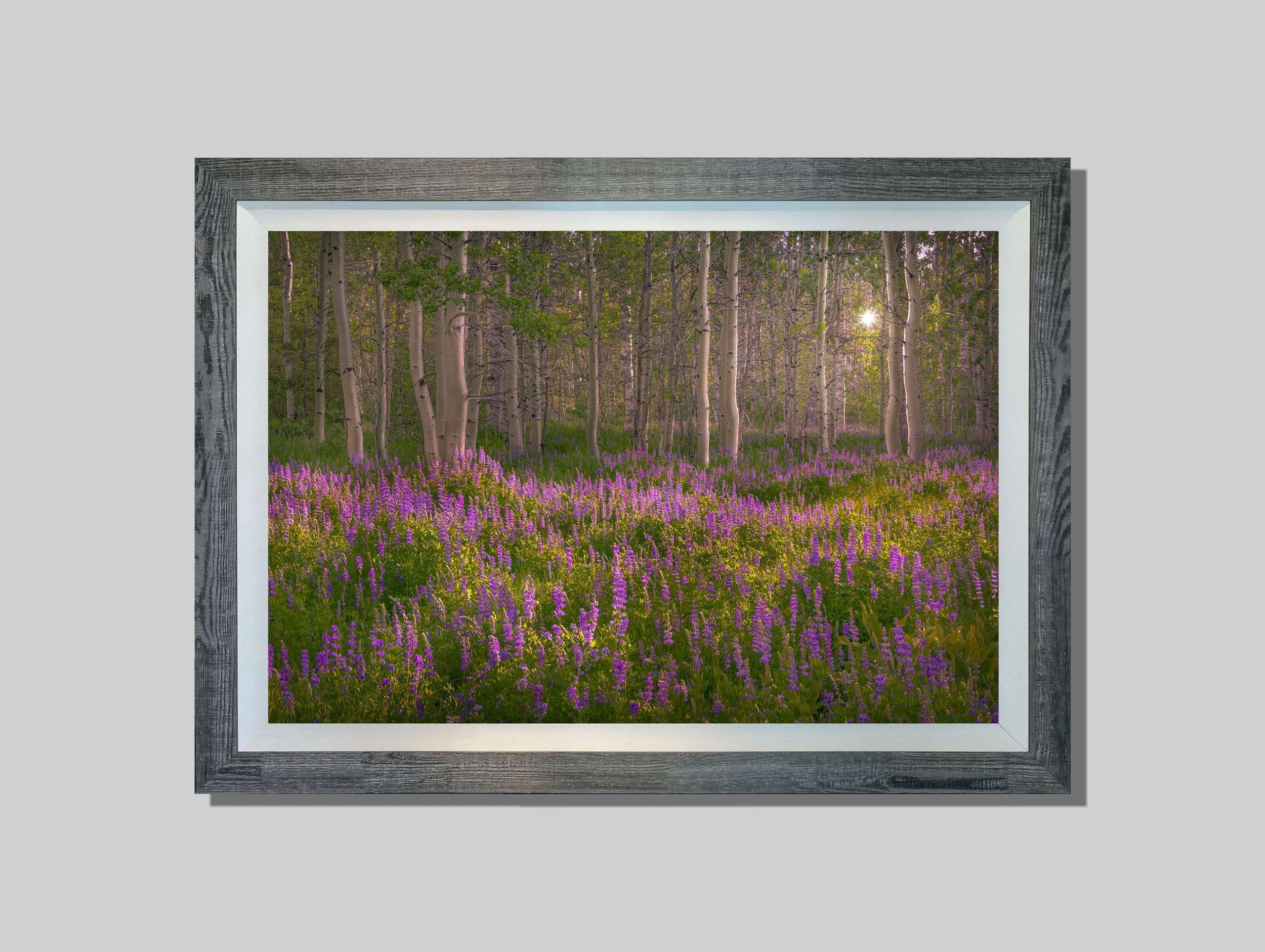 Spring Meadow - Image 2