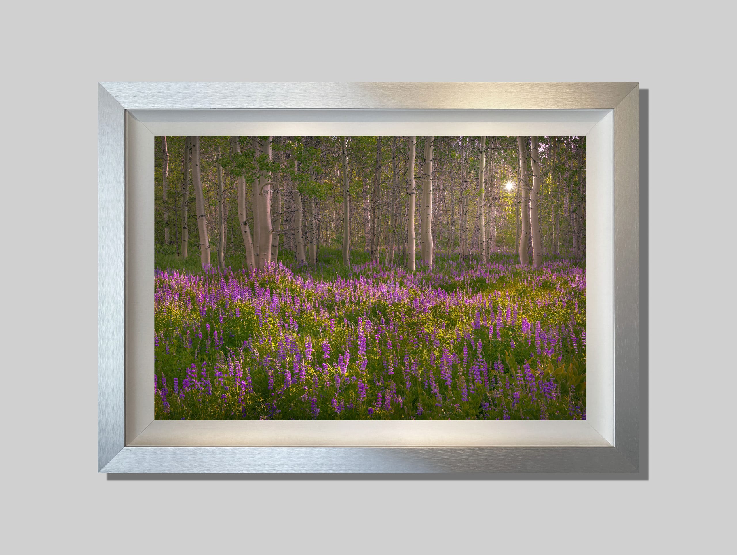 Spring Meadow - Image 3