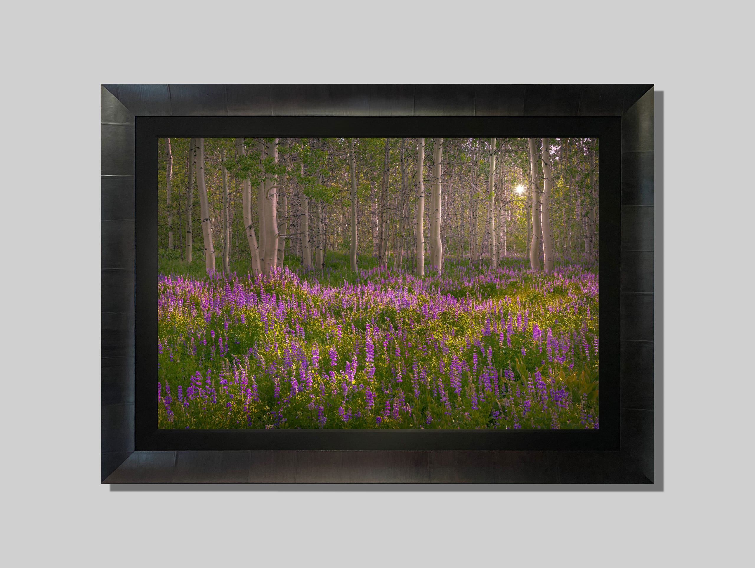 Spring Meadow - Image 4
