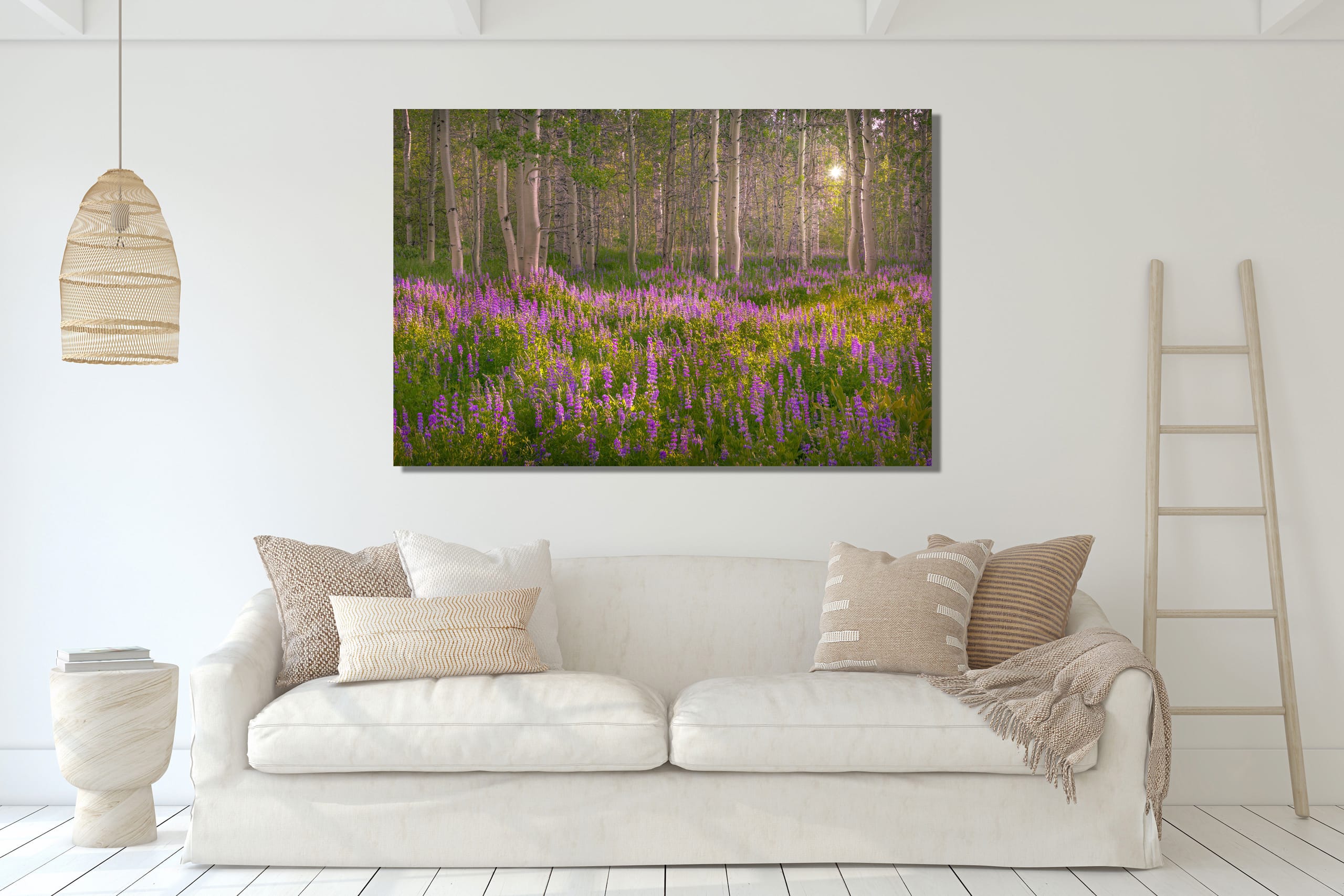 Spring Meadow