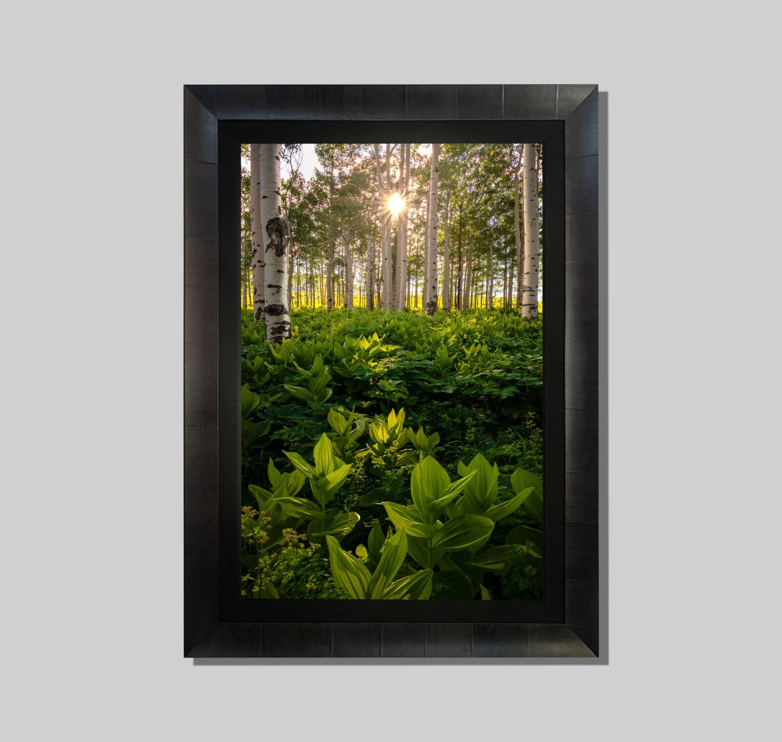 Lit Within - Image 4
