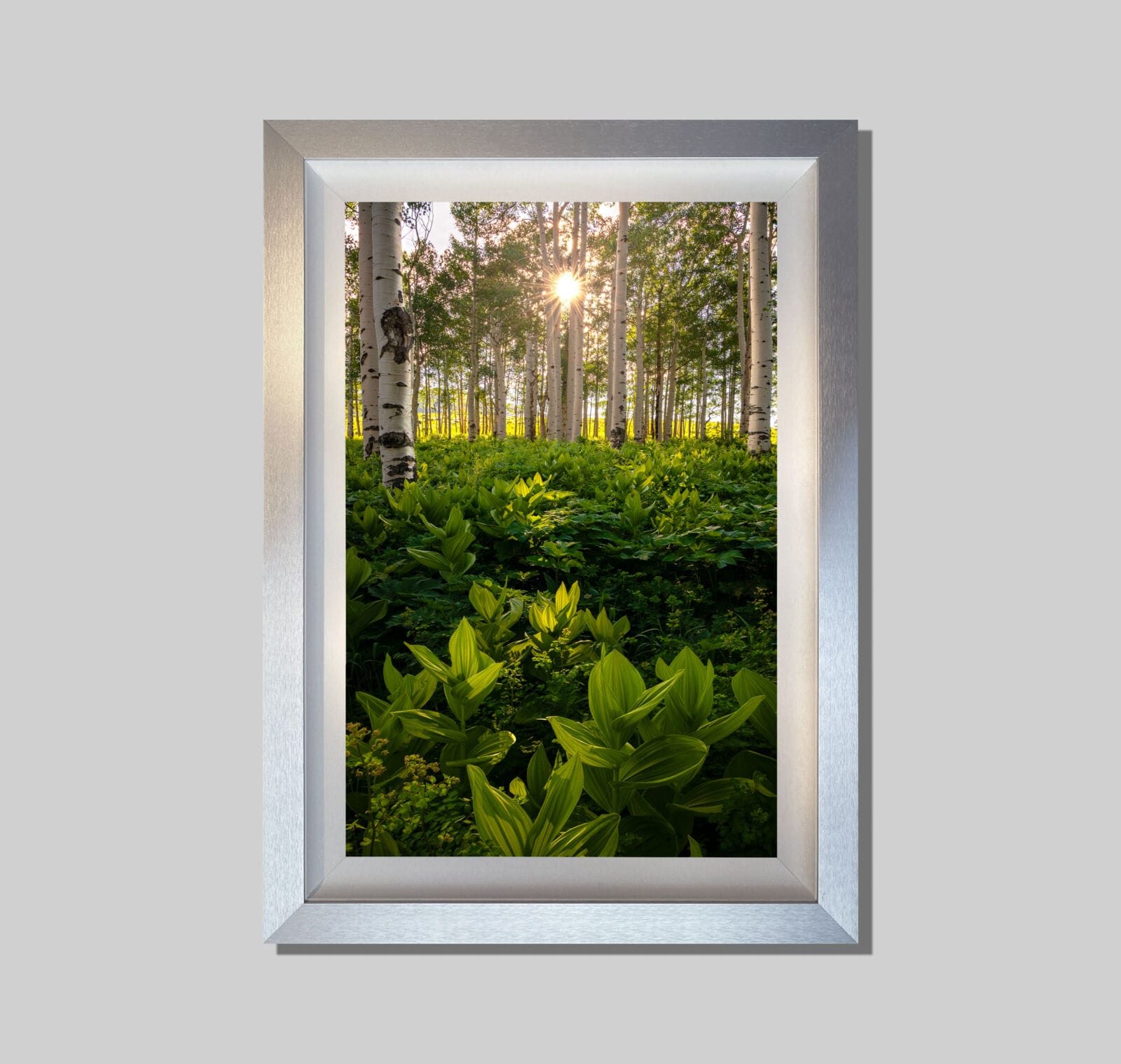 Lit Within - Image 3