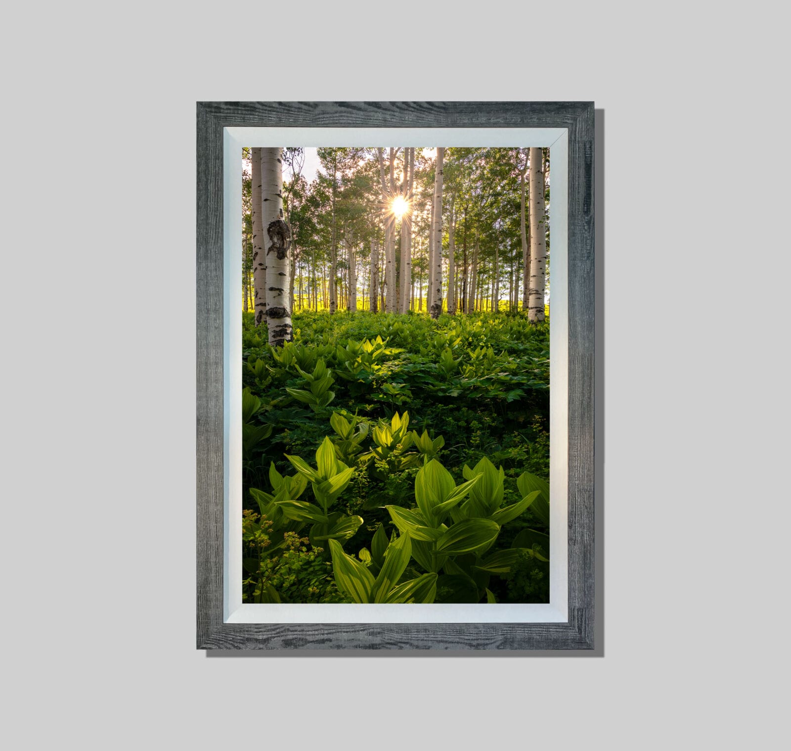 Lit Within - Image 2