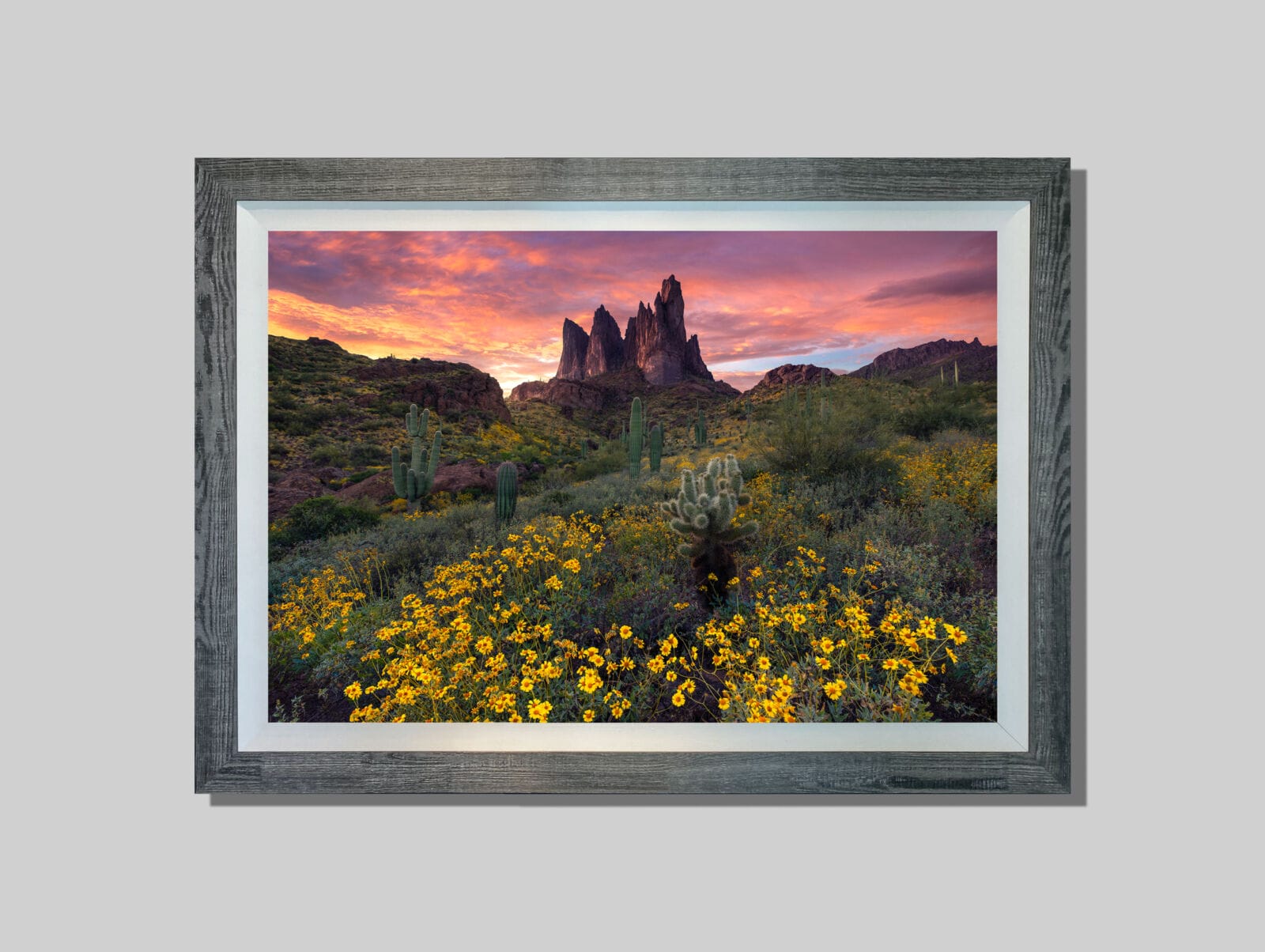 Renewed - Image 2