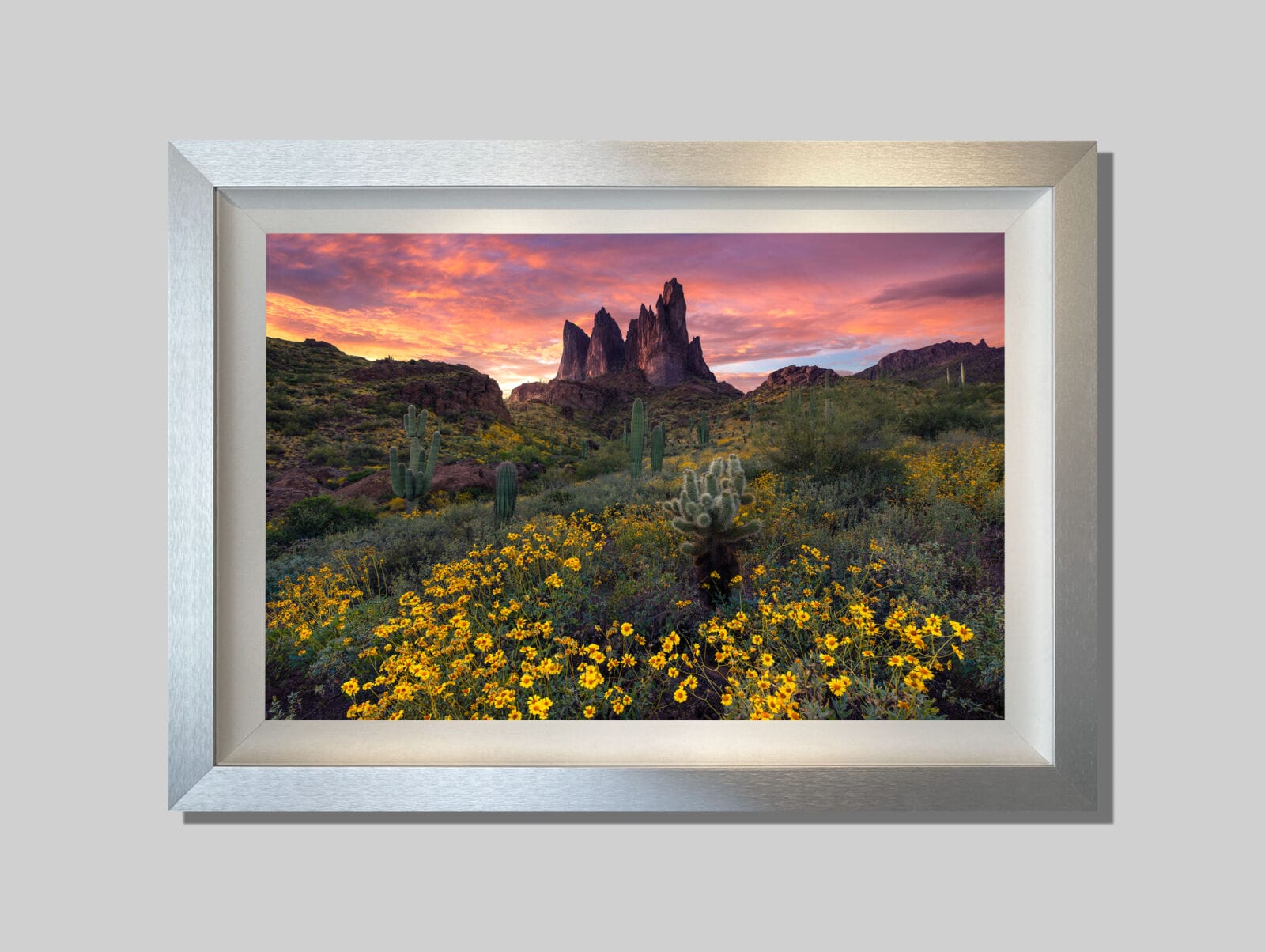 Renewed - Image 3