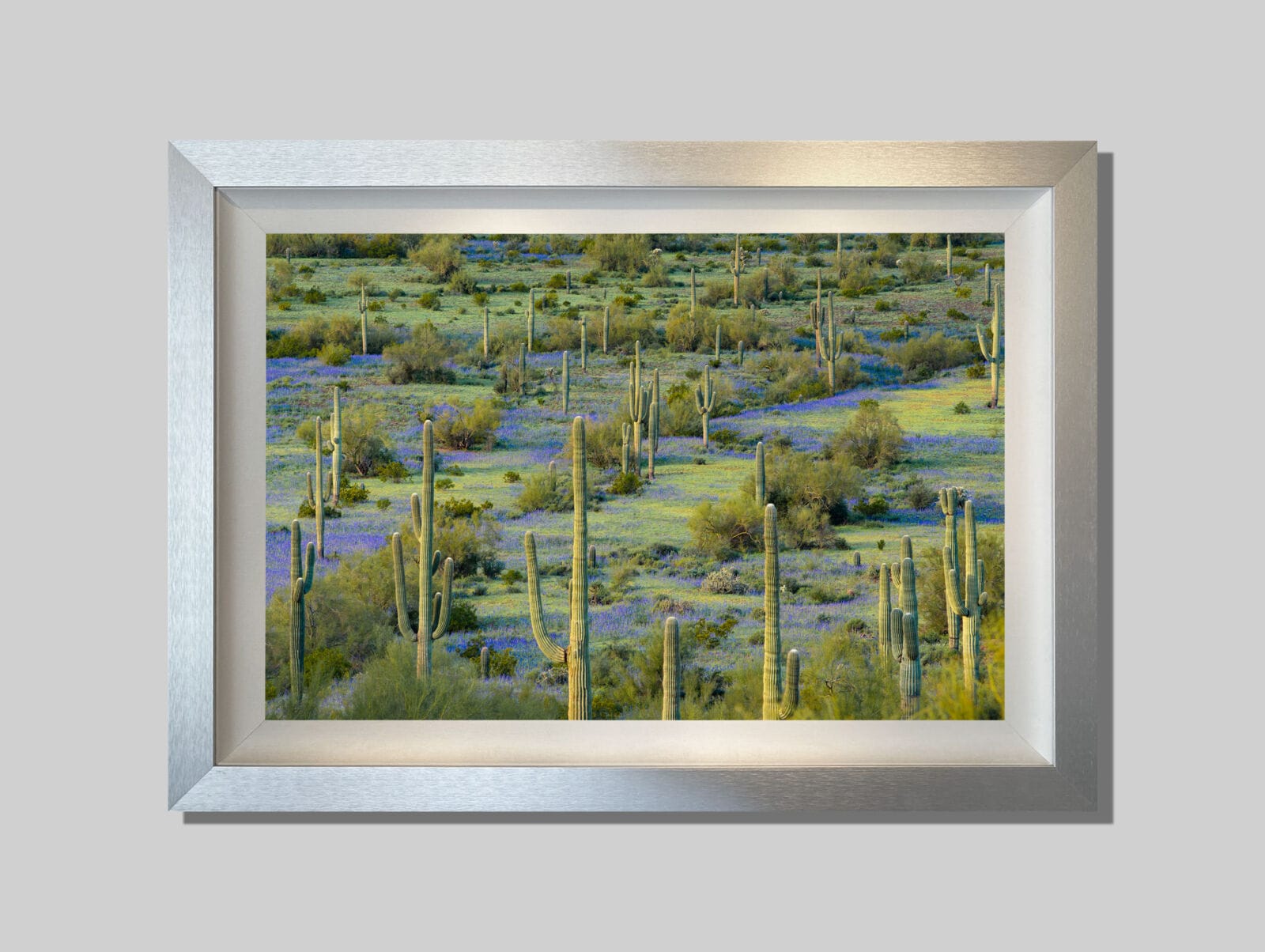 Pastel Bloom - Image 3