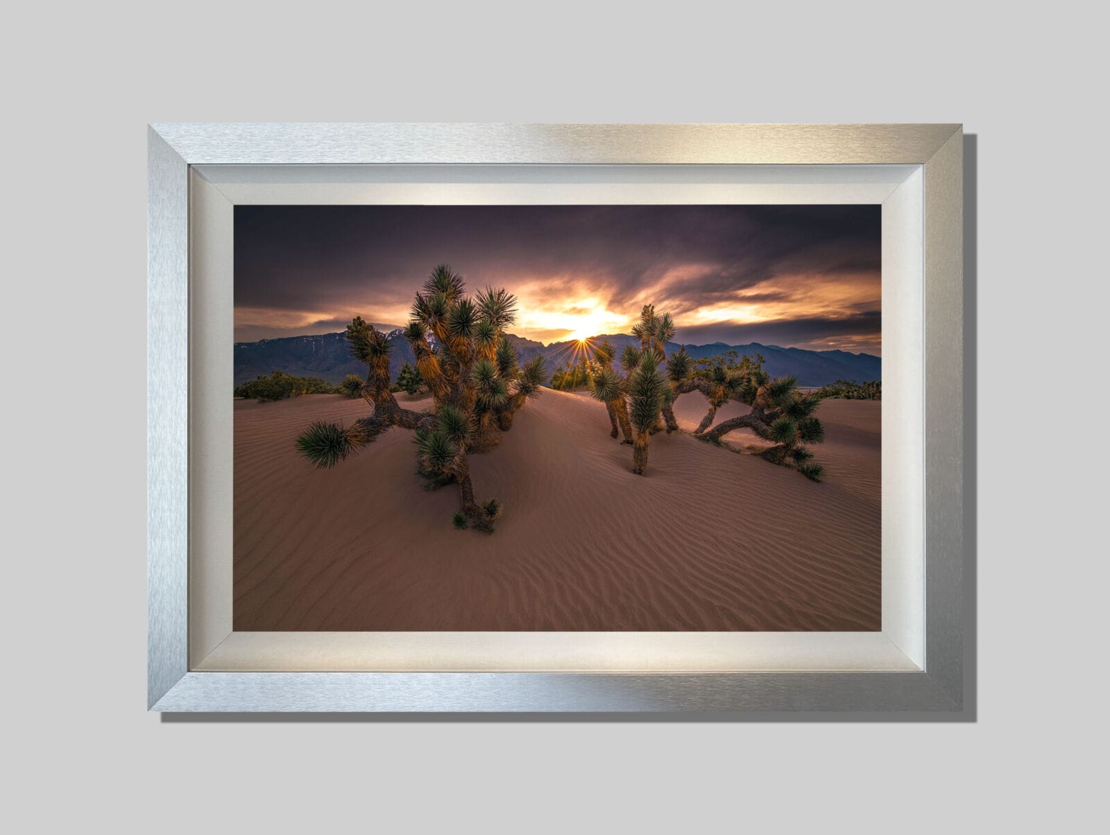 Sierra Light - Image 3