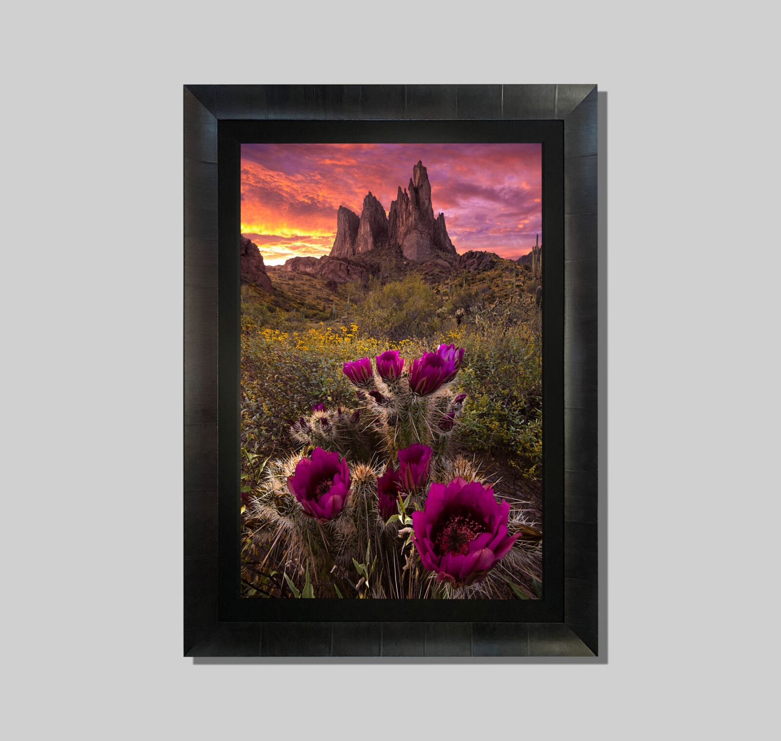 Sonoran Spring - Image 4