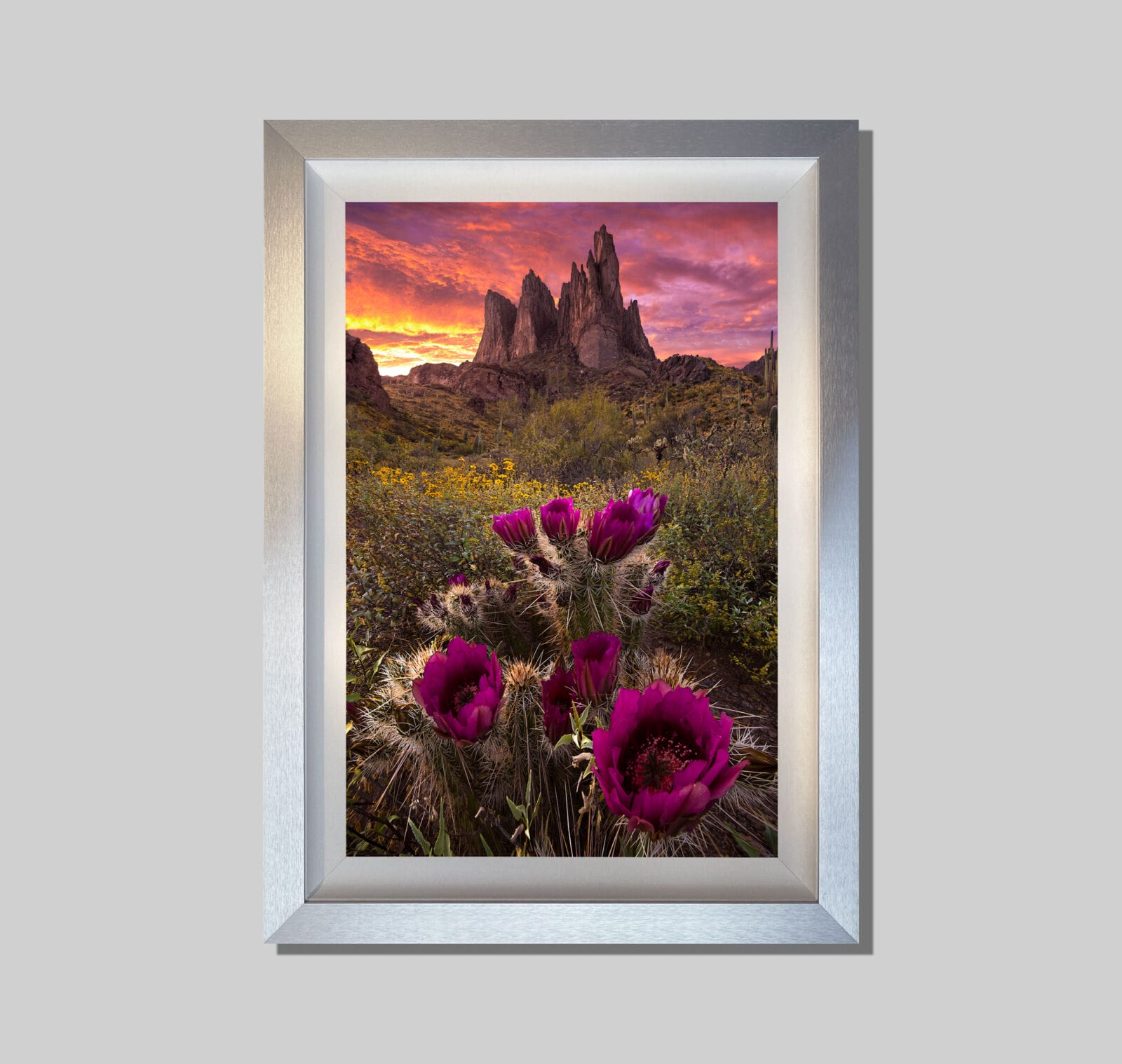 Sonoran Spring - Image 3