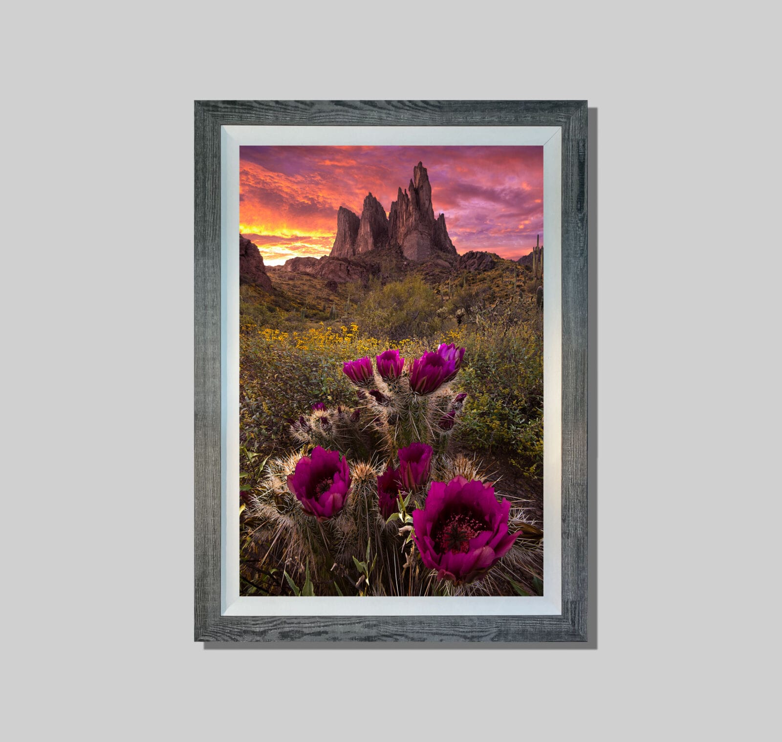 Sonoran Spring - Image 2